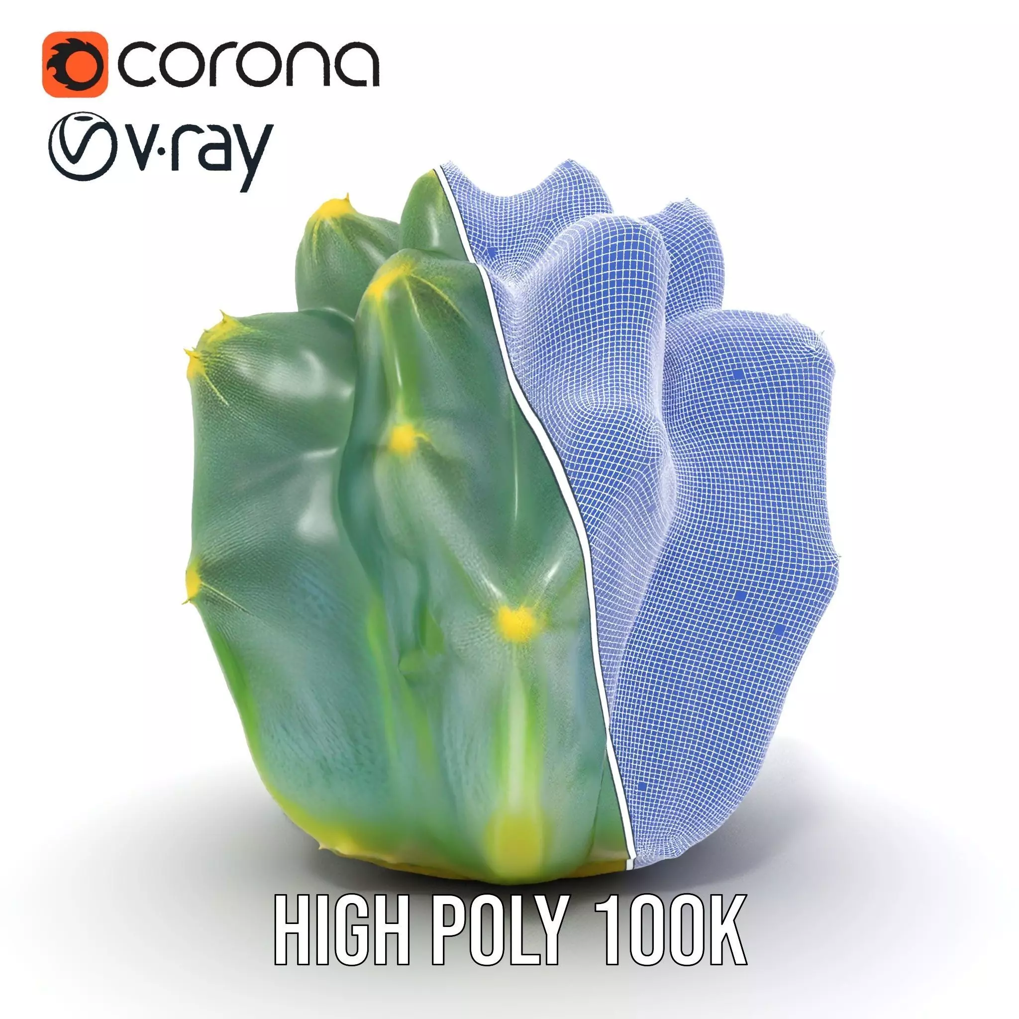 Round Green Cactus model pack Low-poly 3D model_34