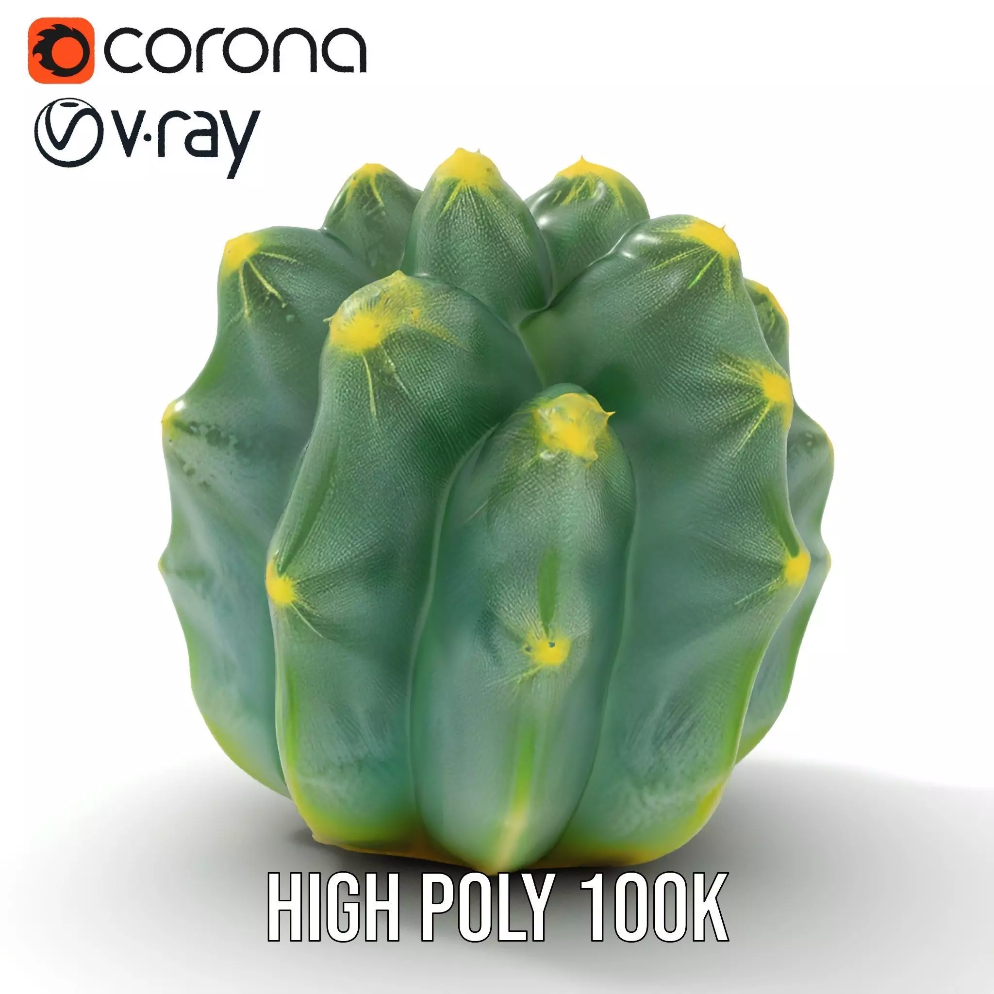 Round Green Cactus model pack Low-poly 3D model_26