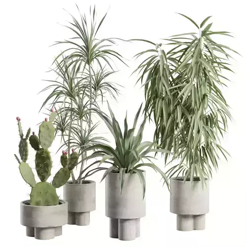 Indoor Plants Pack 100