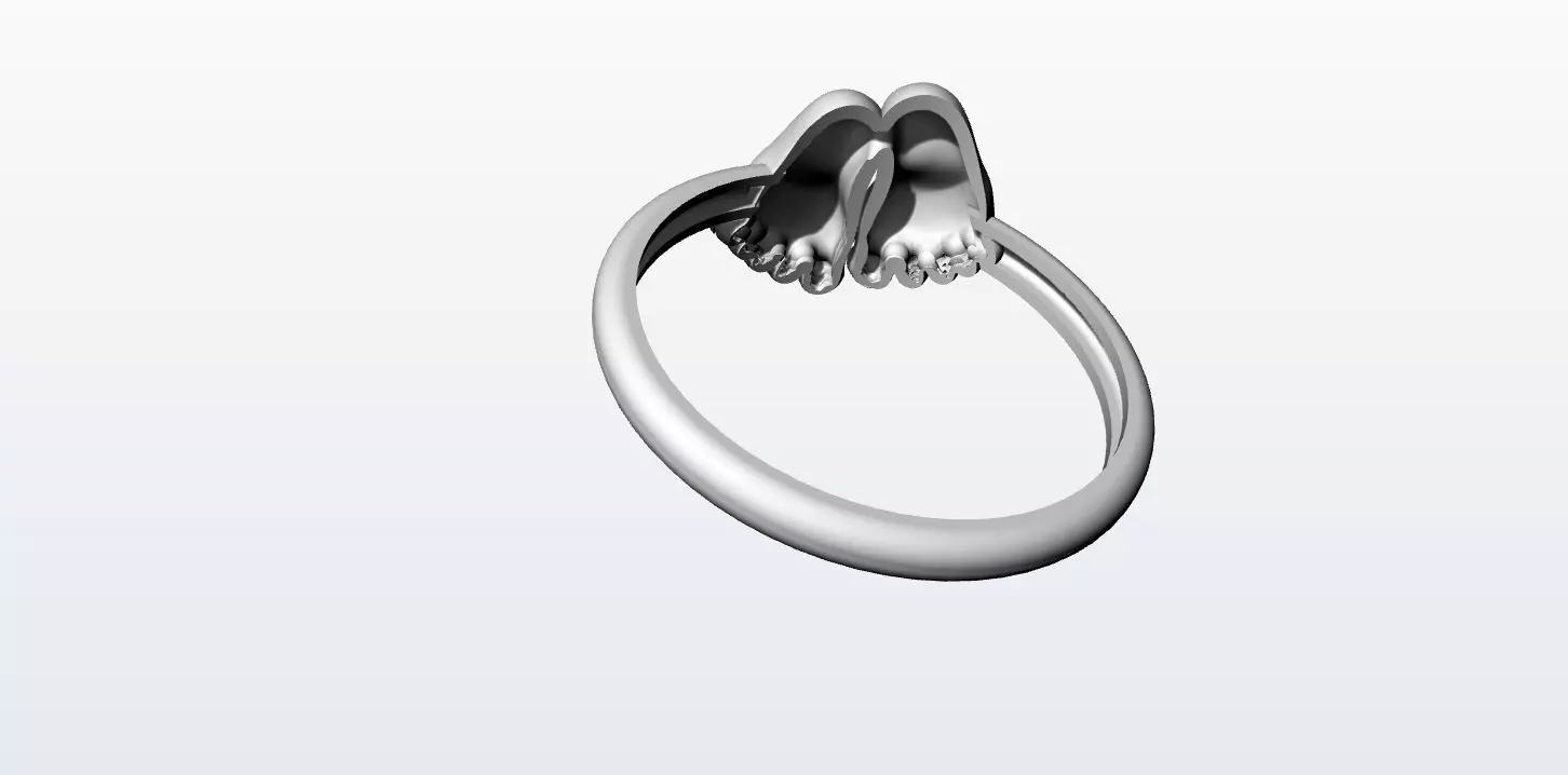 anillo pies  3D print model_2