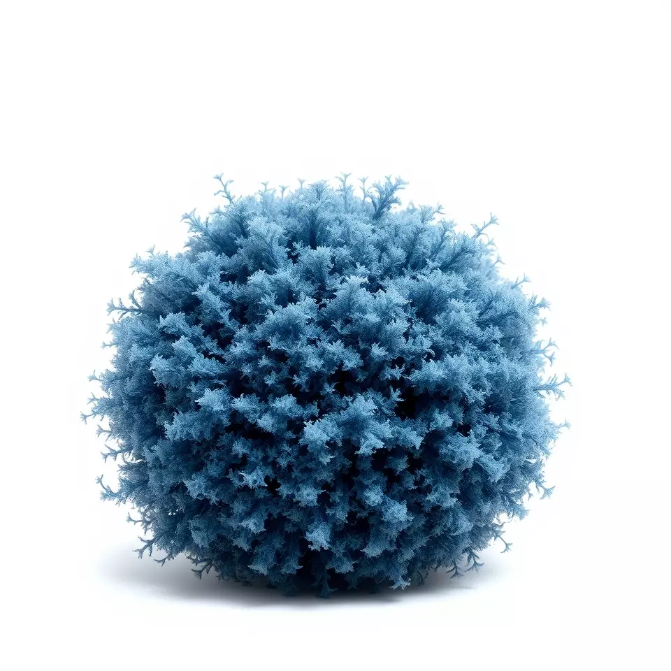 Azure Coral Sphere model pack Low-poly 3D model_2