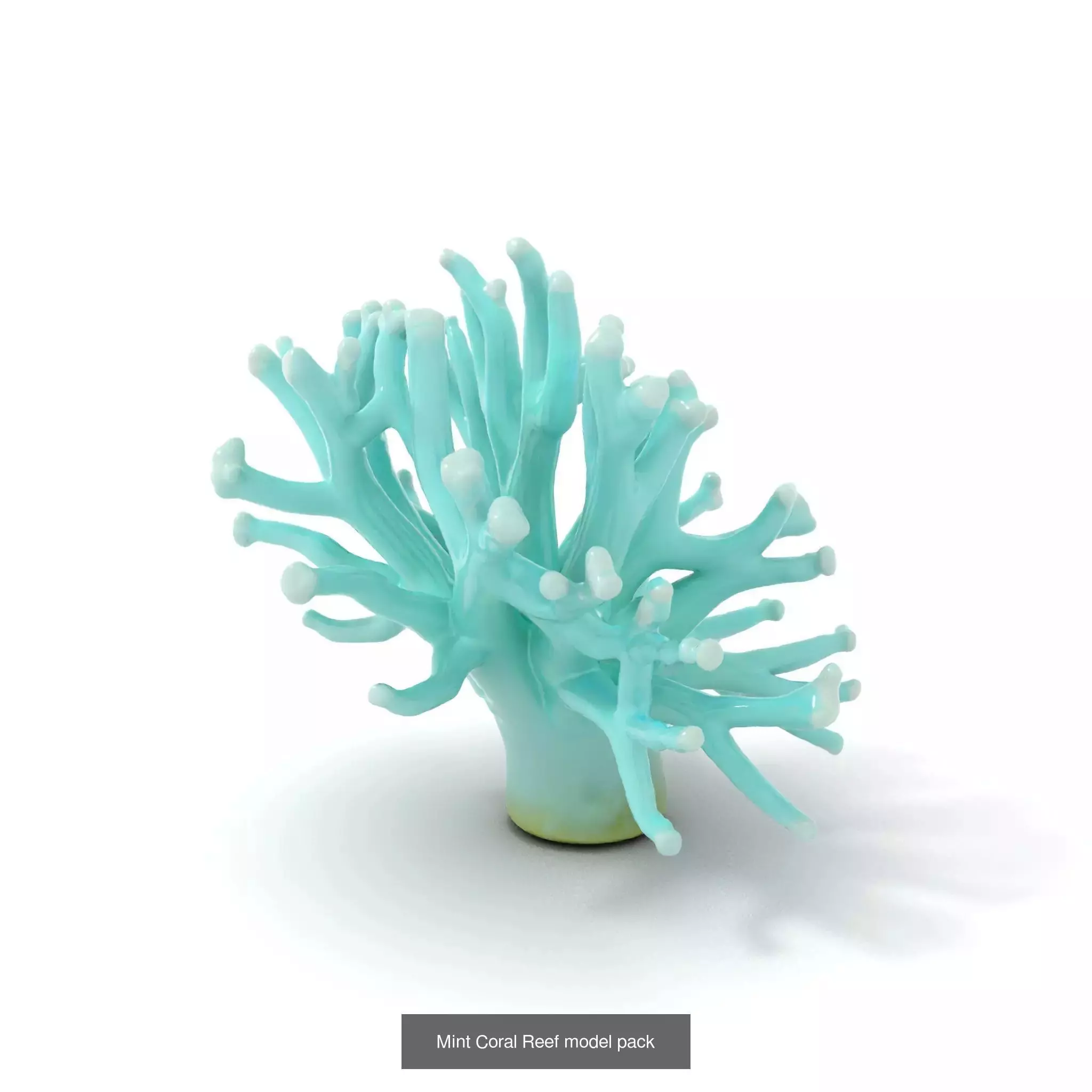 Bioluminescent Fantasy Flora 3D Model Collection_39
