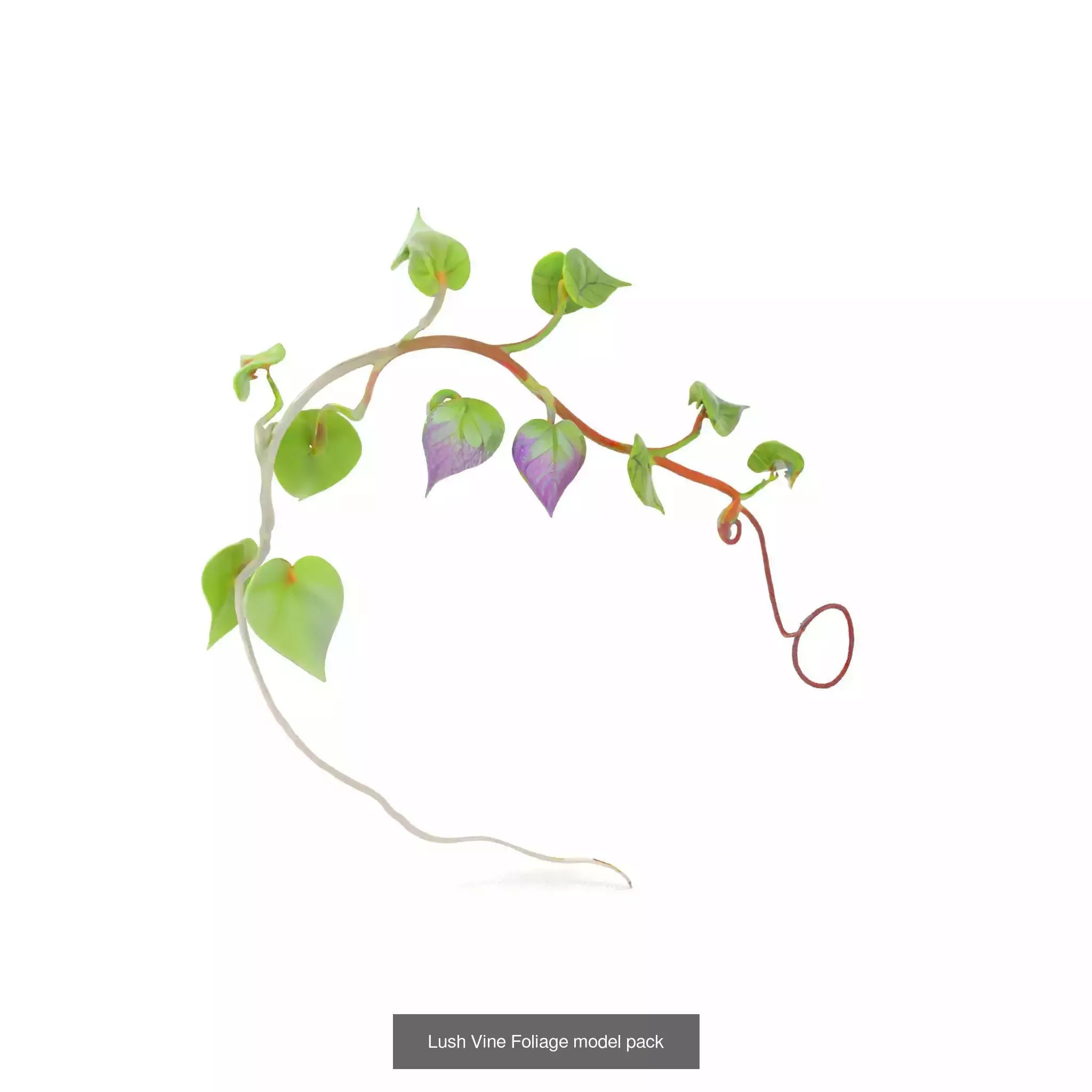 Bioluminescent Fantasy Flora 3D Model Collection_30