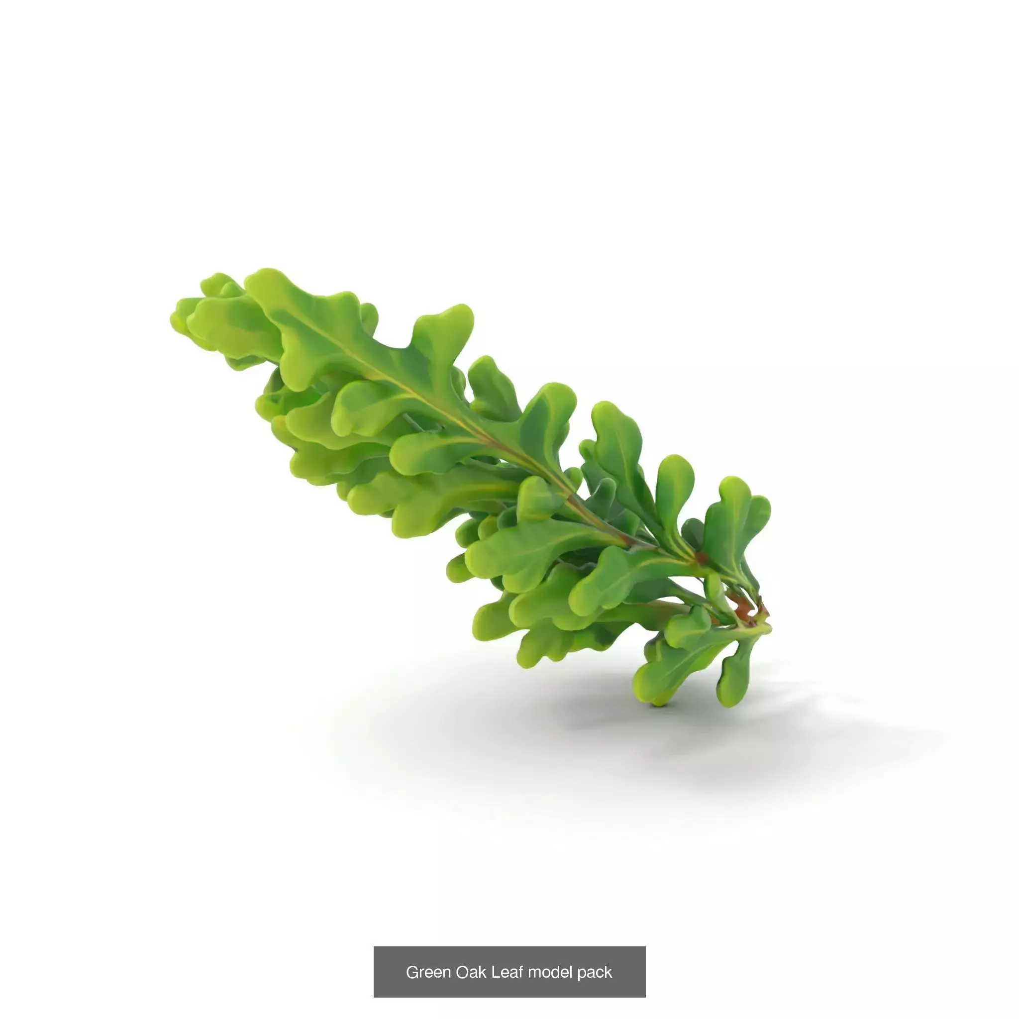 Bioluminescent Fantasy Flora 3D Model Collection_42