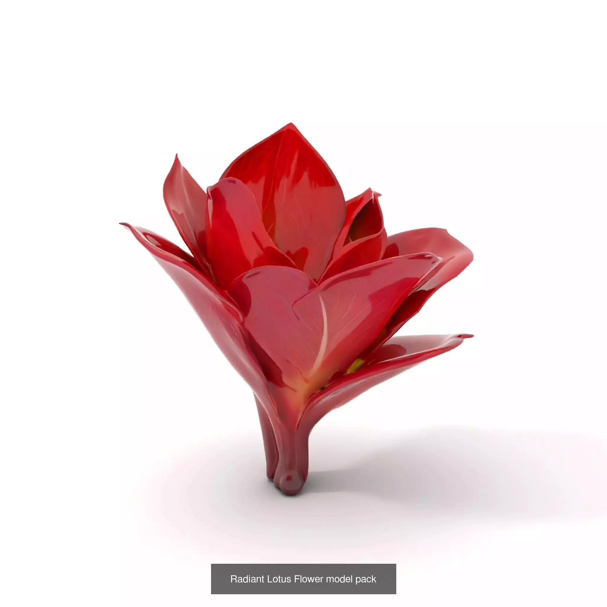 Bioluminescent Fantasy Flora 3D Model Collection_32