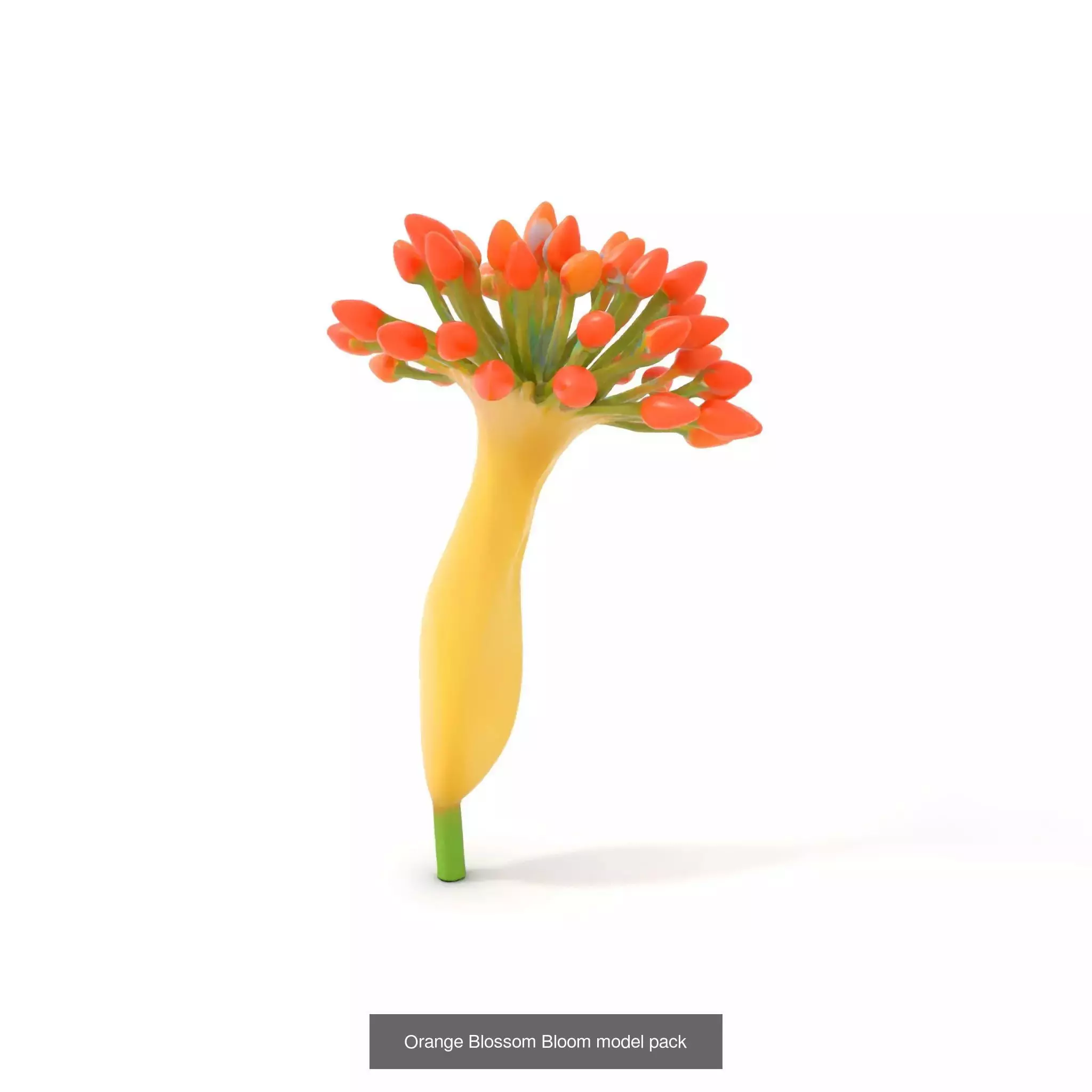 Bioluminescent Fantasy Flora 3D Model Collection_46