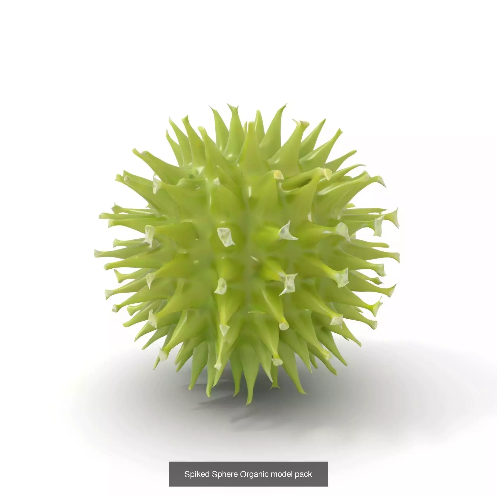 Bioluminescent Fantasy Flora 3D Model Collection_48