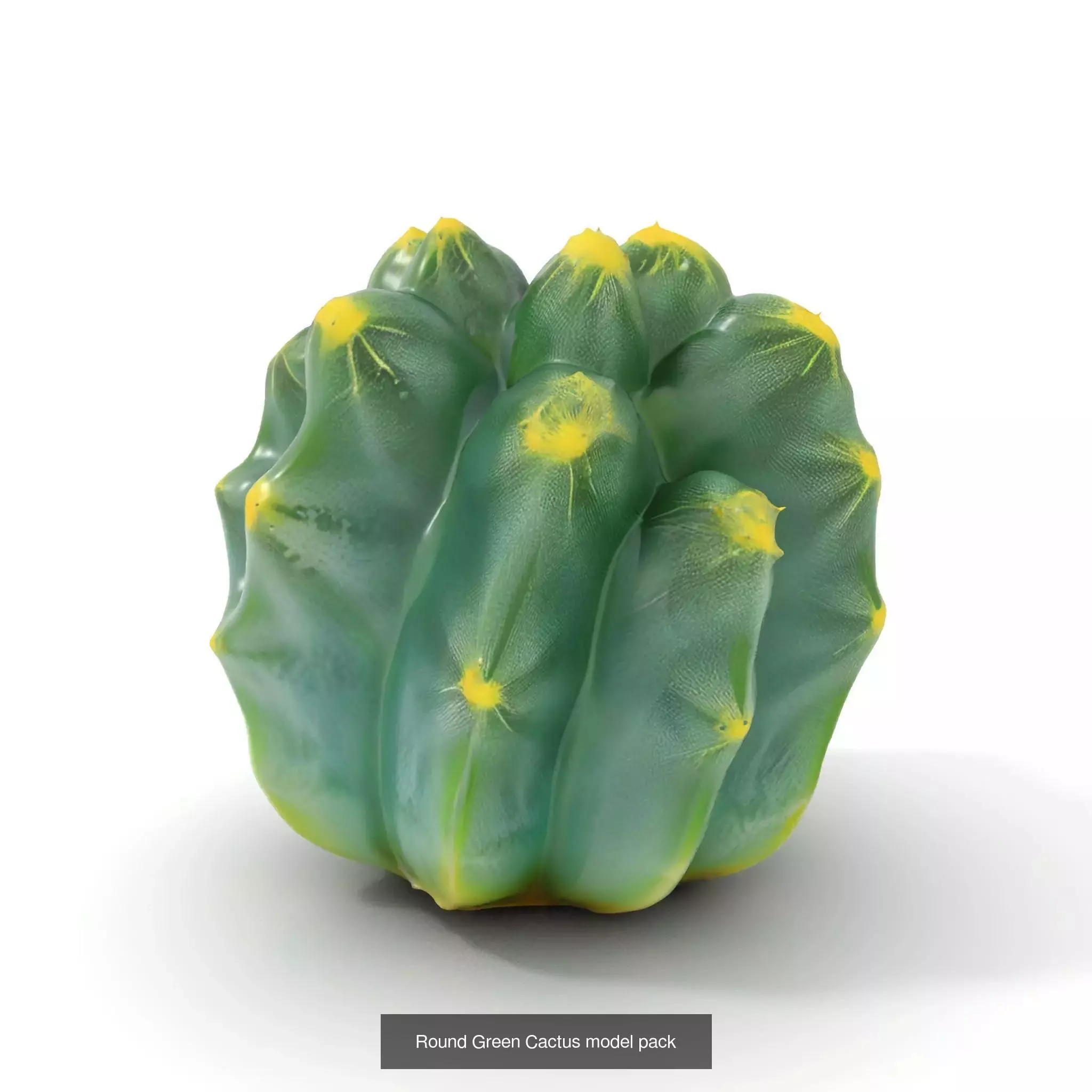 Bioluminescent Fantasy Flora 3D Model Collection_49