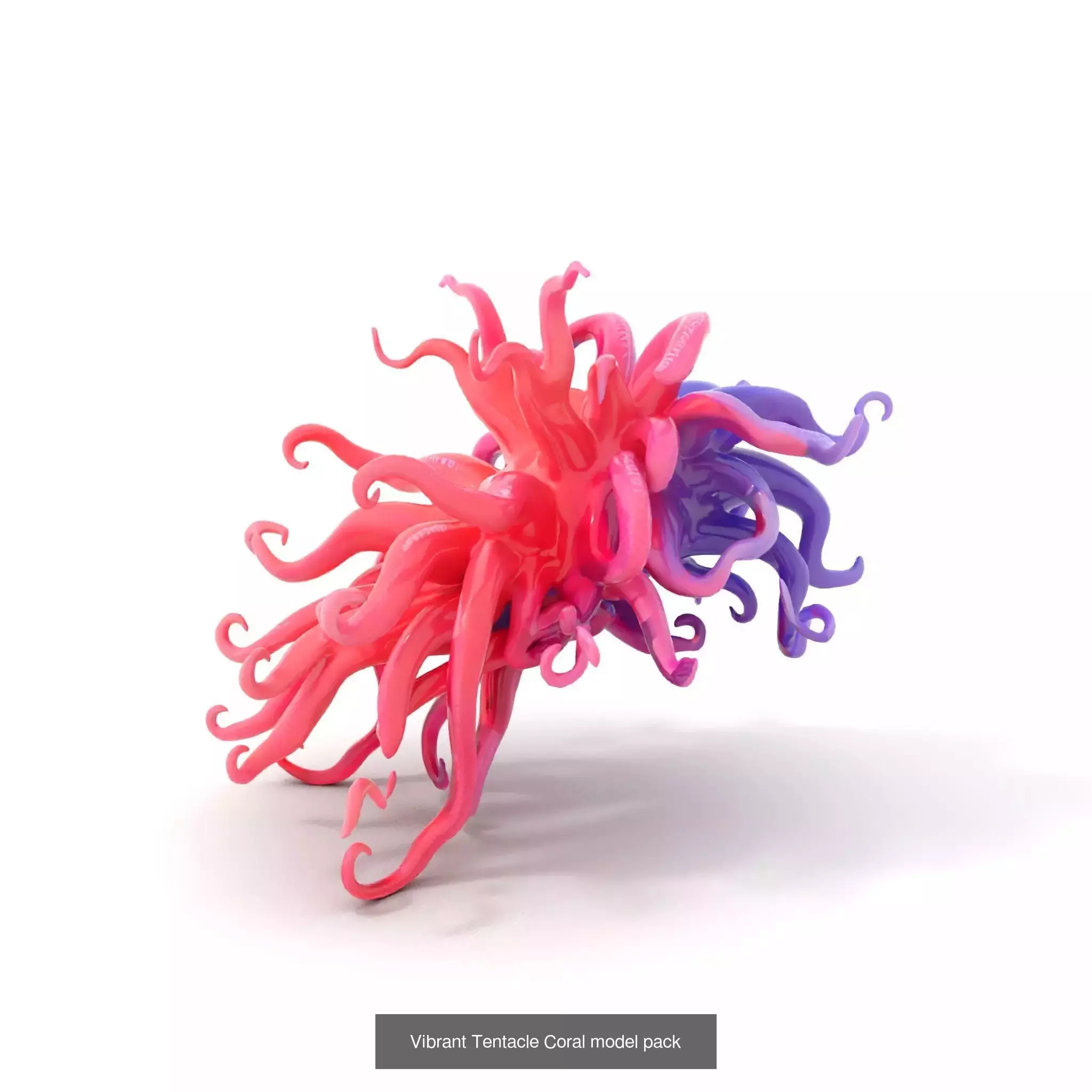 Bioluminescent Fantasy Flora 3D Model Collection_41