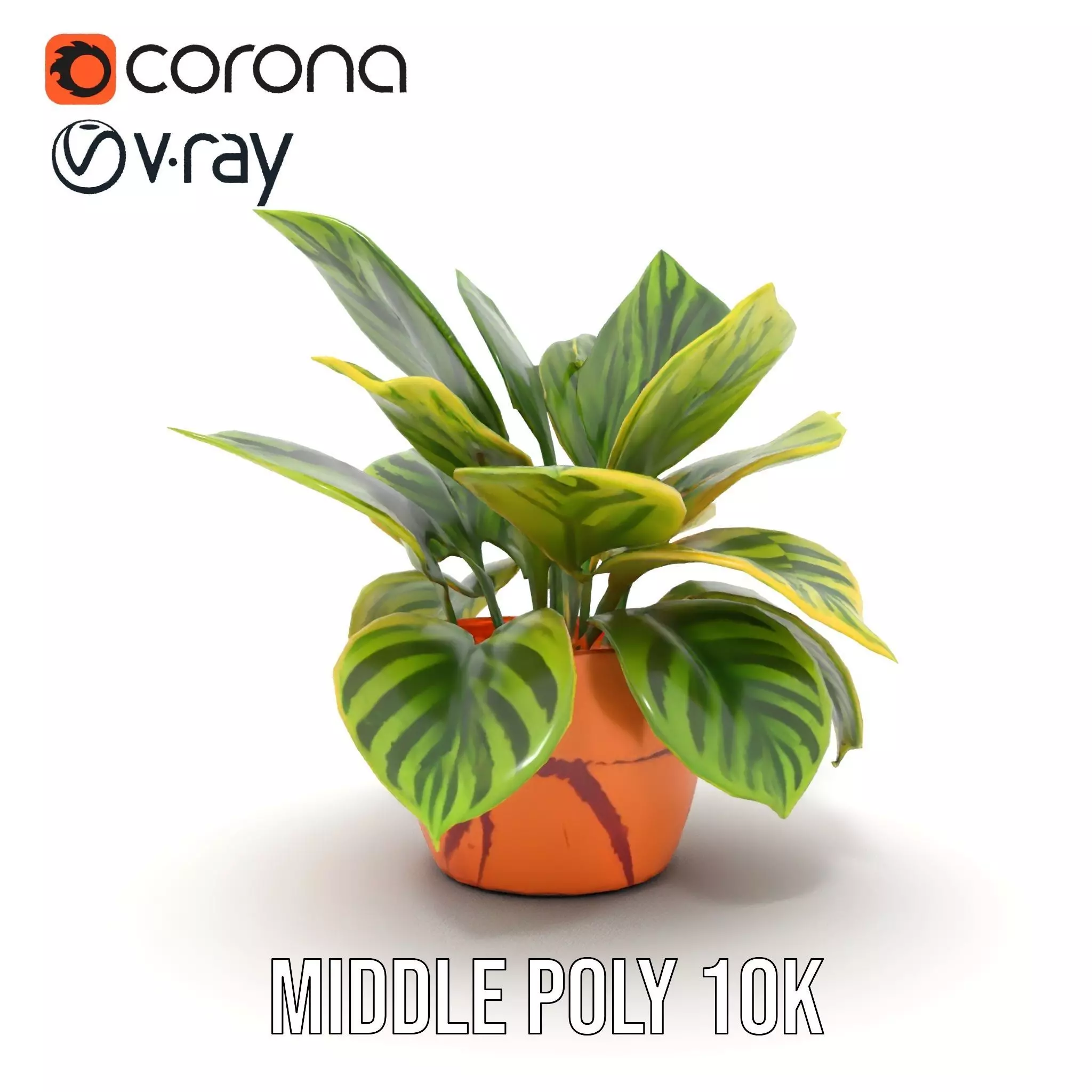 Vibrant Plant Pot model pack Low-poly 3D model_11
