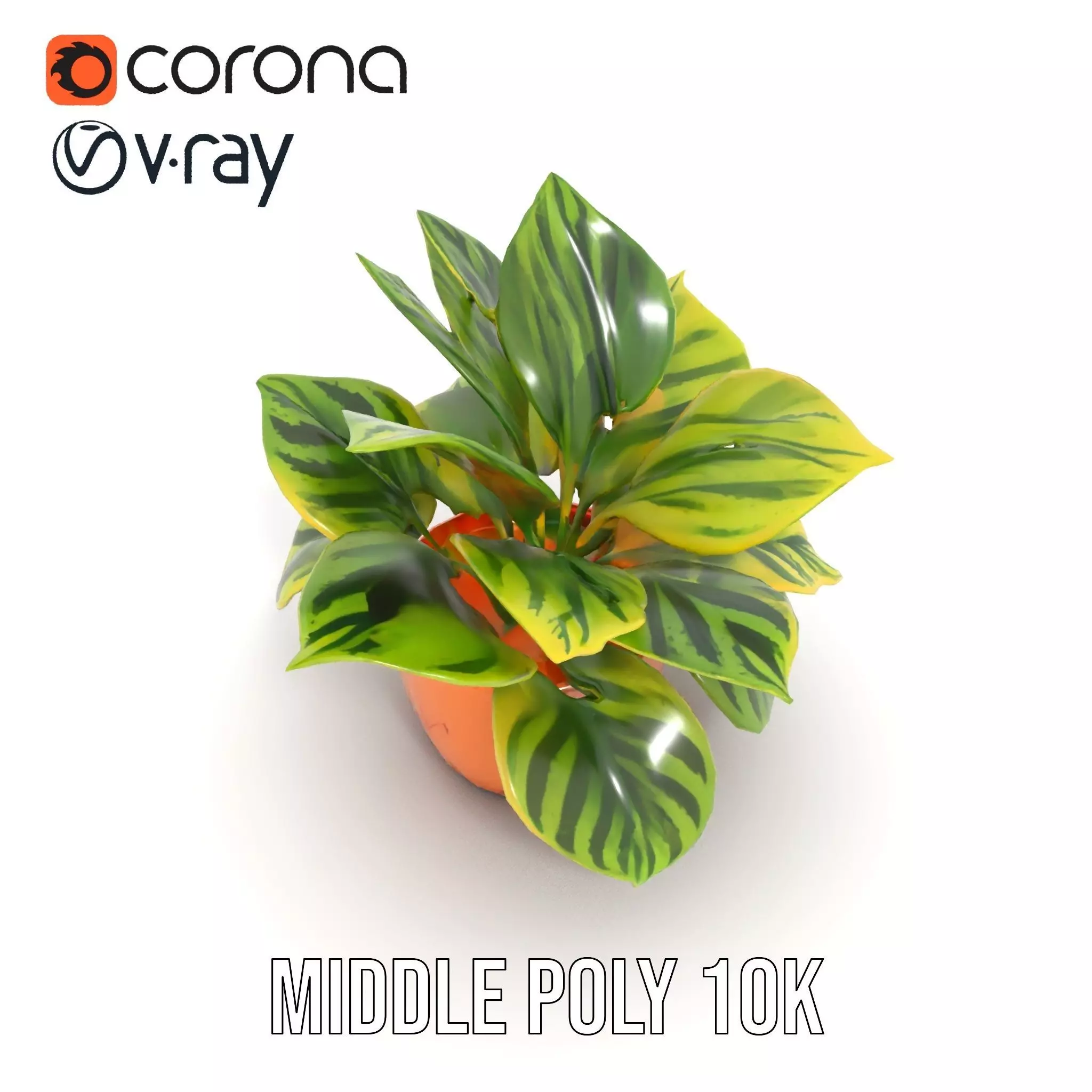 Vibrant Plant Pot model pack Low-poly 3D model_30