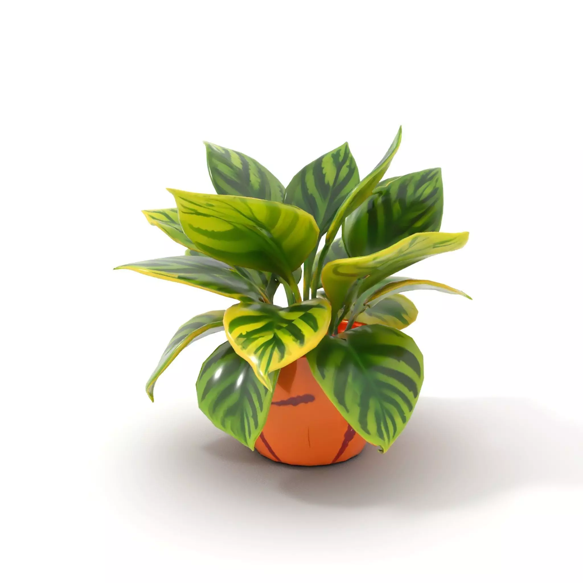 Vibrant Plant Pot model pack Low-poly 3D model_13