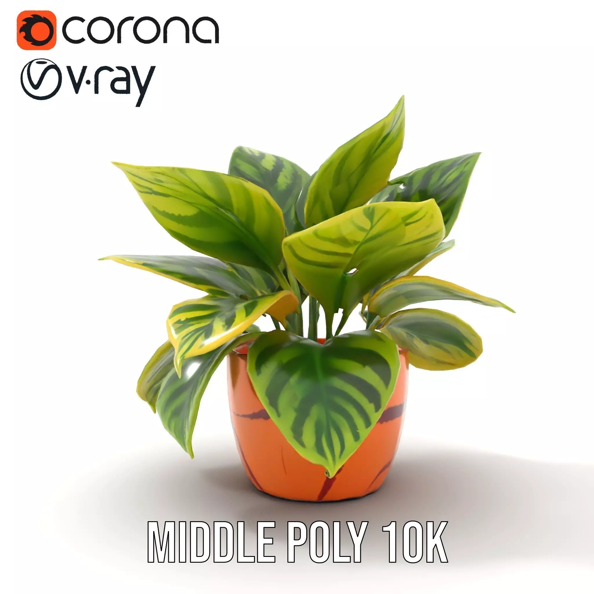 Vibrant Plant Pot model pack Low-poly 3D model_5
