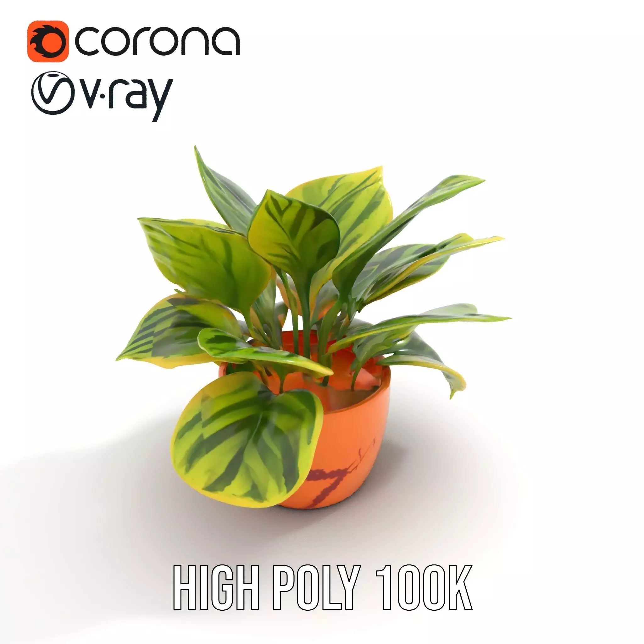 Vibrant Plant Pot model pack Low-poly 3D model_20