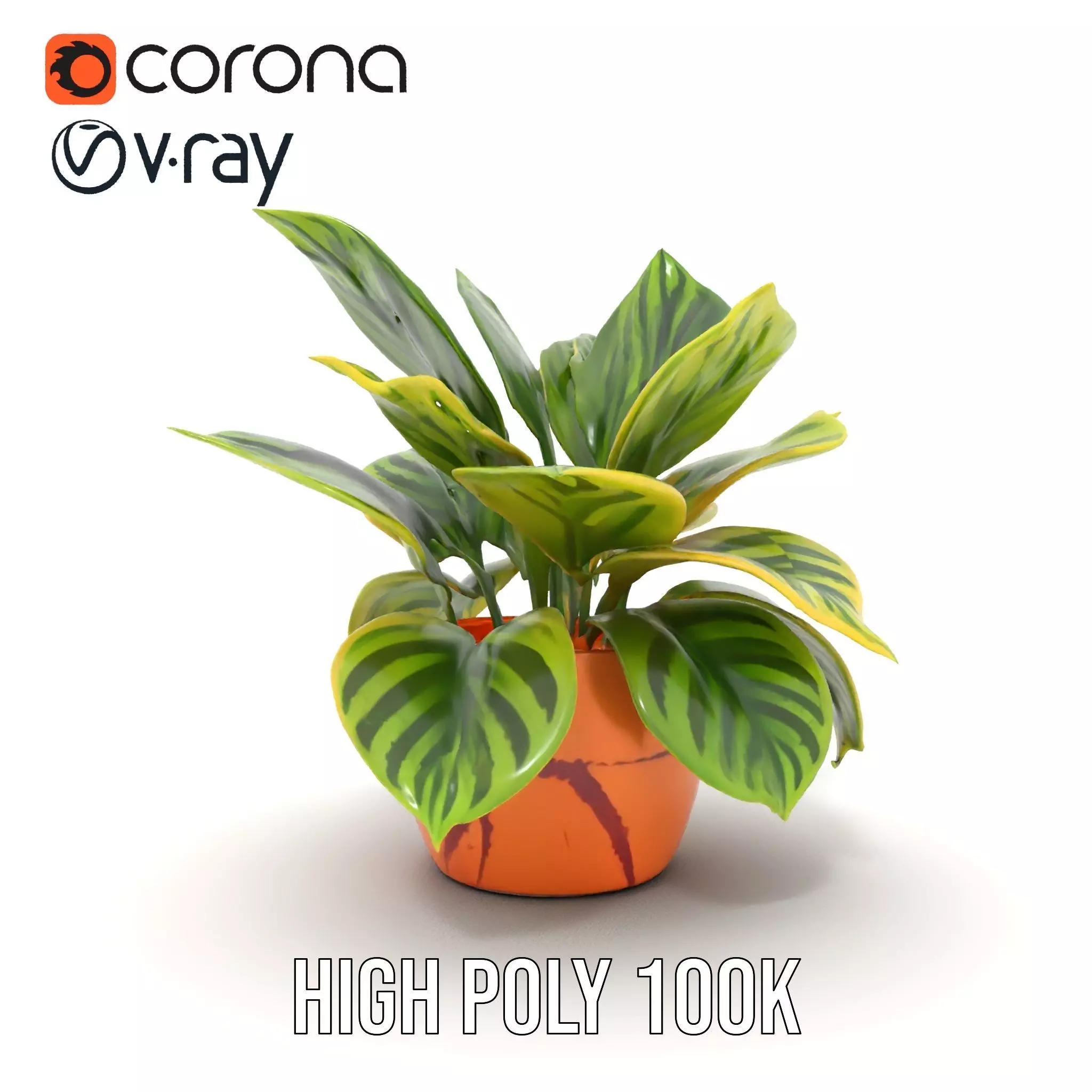 Vibrant Plant Pot model pack Low-poly 3D model_26