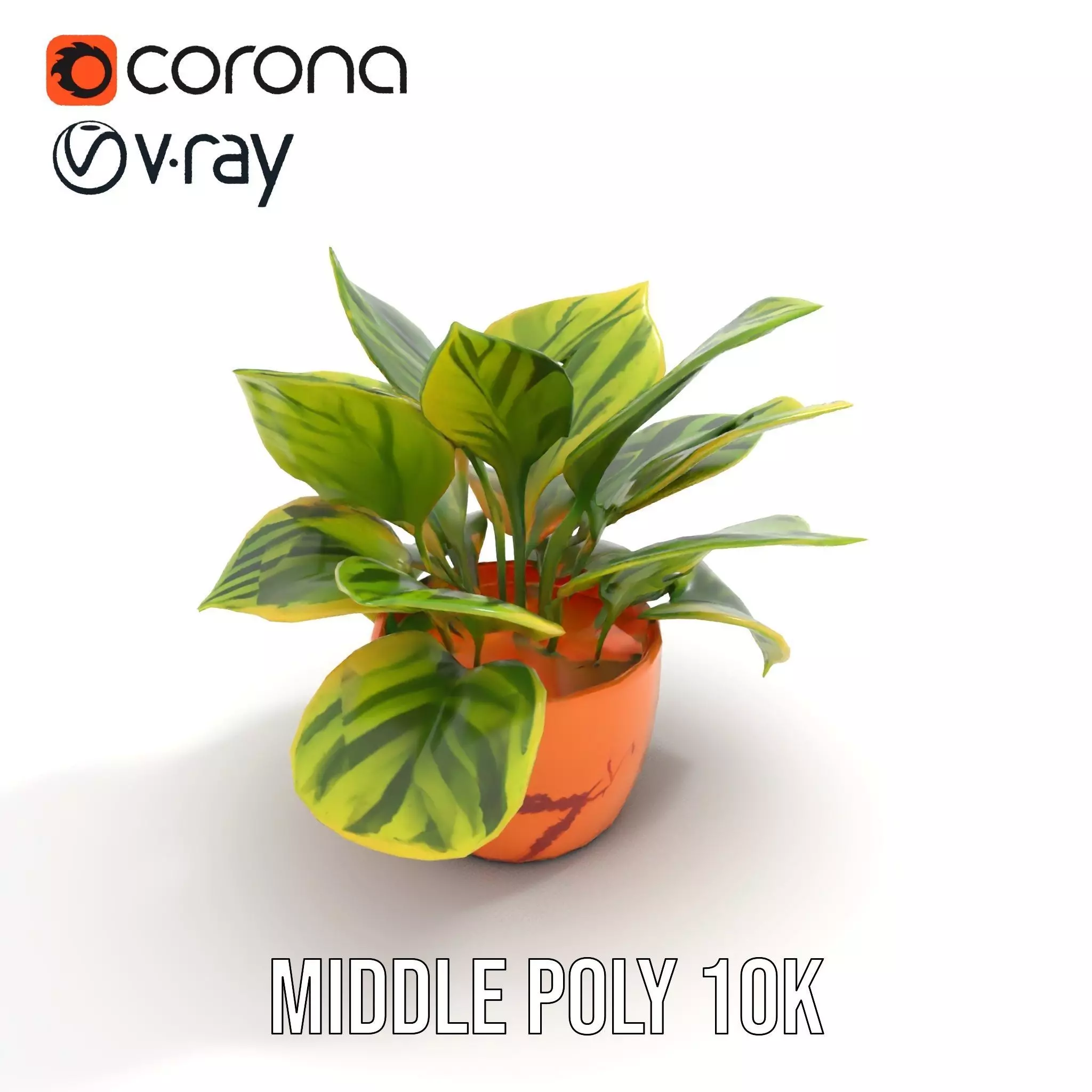 Vibrant Plant Pot model pack Low-poly 3D model_6