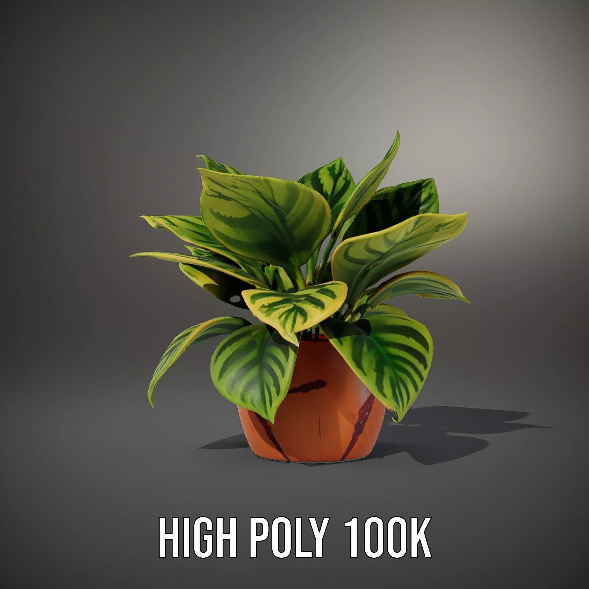 Vibrant Plant Pot model pack Low-poly 3D model_10