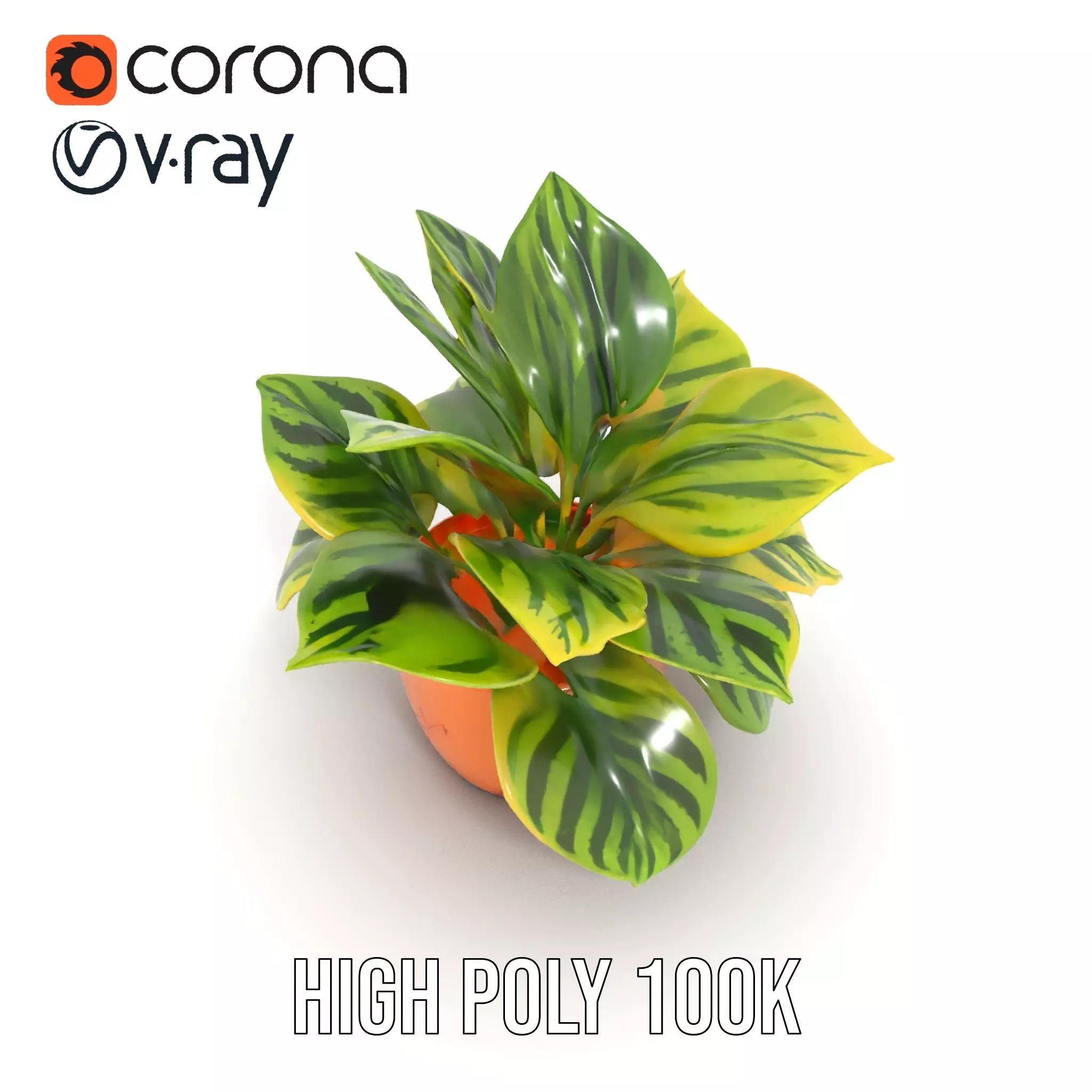 Vibrant Plant Pot model pack Low-poly 3D model_17