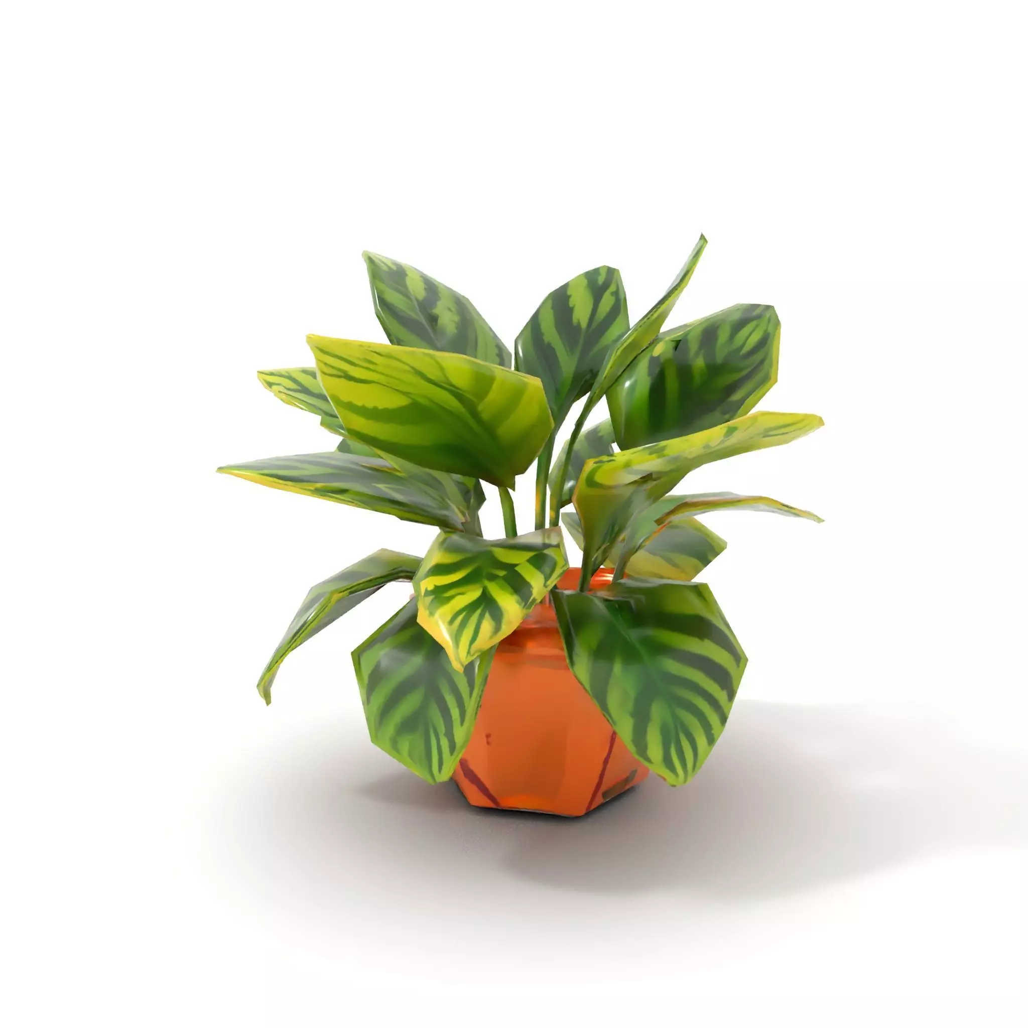 Vibrant Plant Pot model pack Low-poly 3D model_9