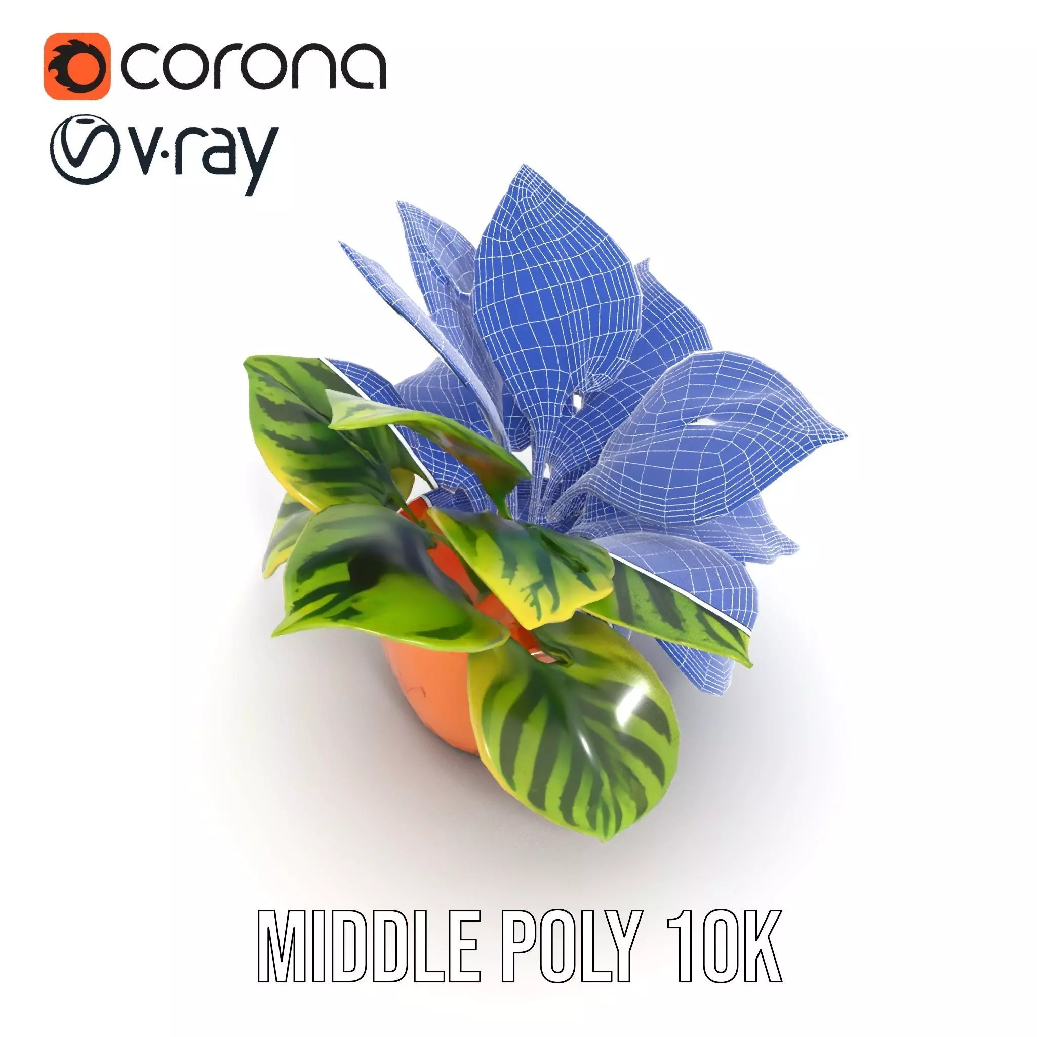 Vibrant Plant Pot model pack Low-poly 3D model_18