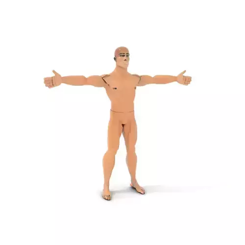 Muscular Male Mannequin model pack Low-poly 3D model