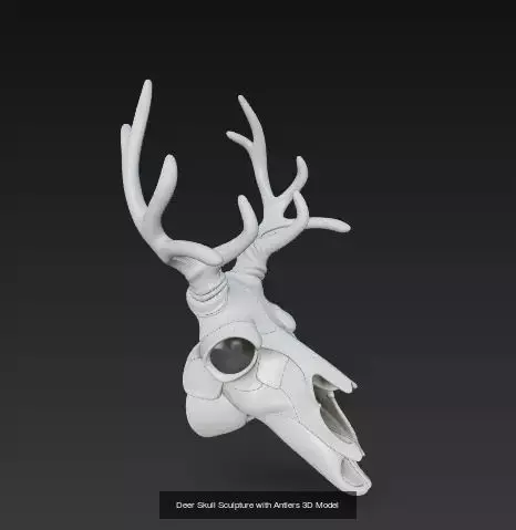 Deer Skull and Antler Fantasy 3D Sculpture Collection _1