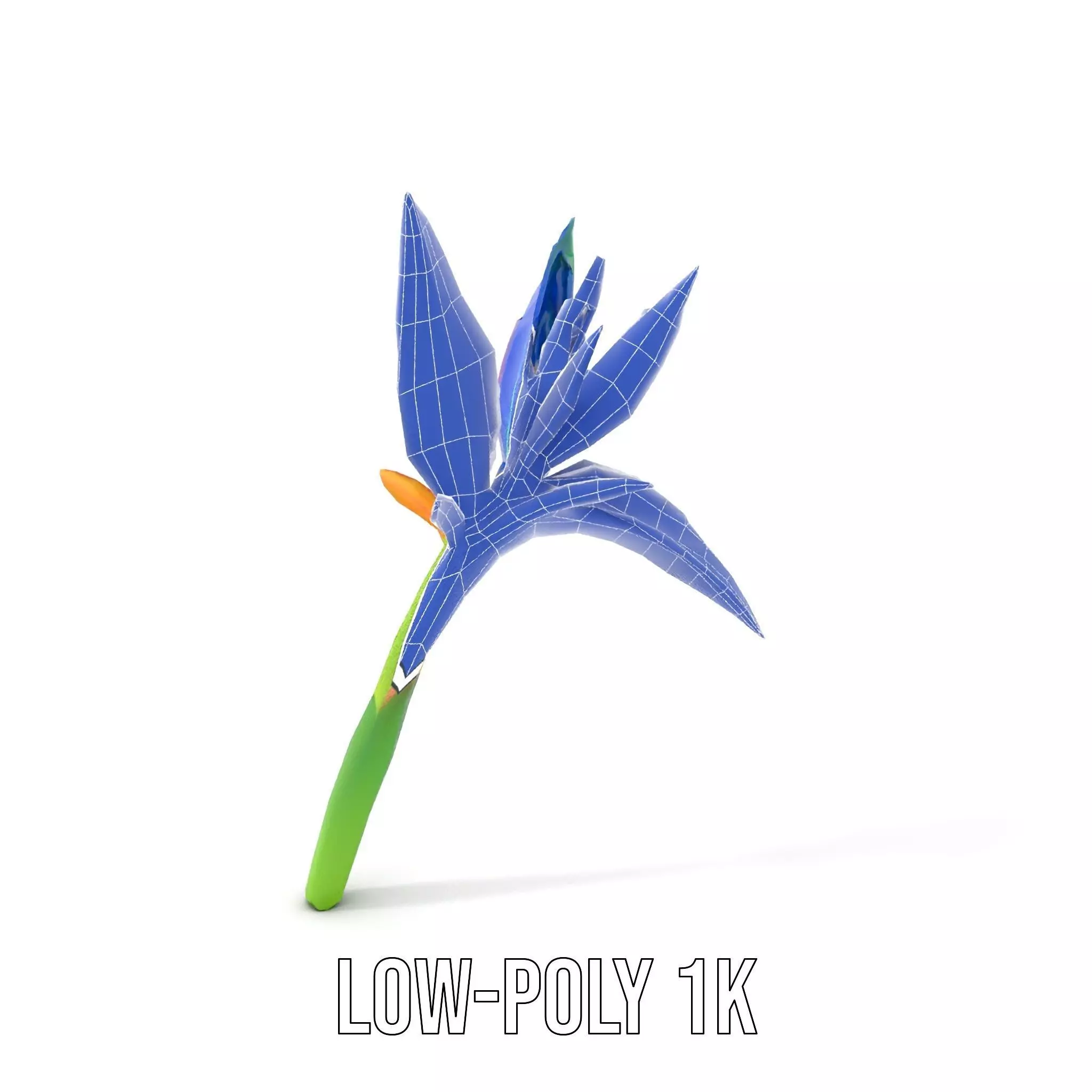 Vibrant Heliconia model pack Low-poly 3D model_25