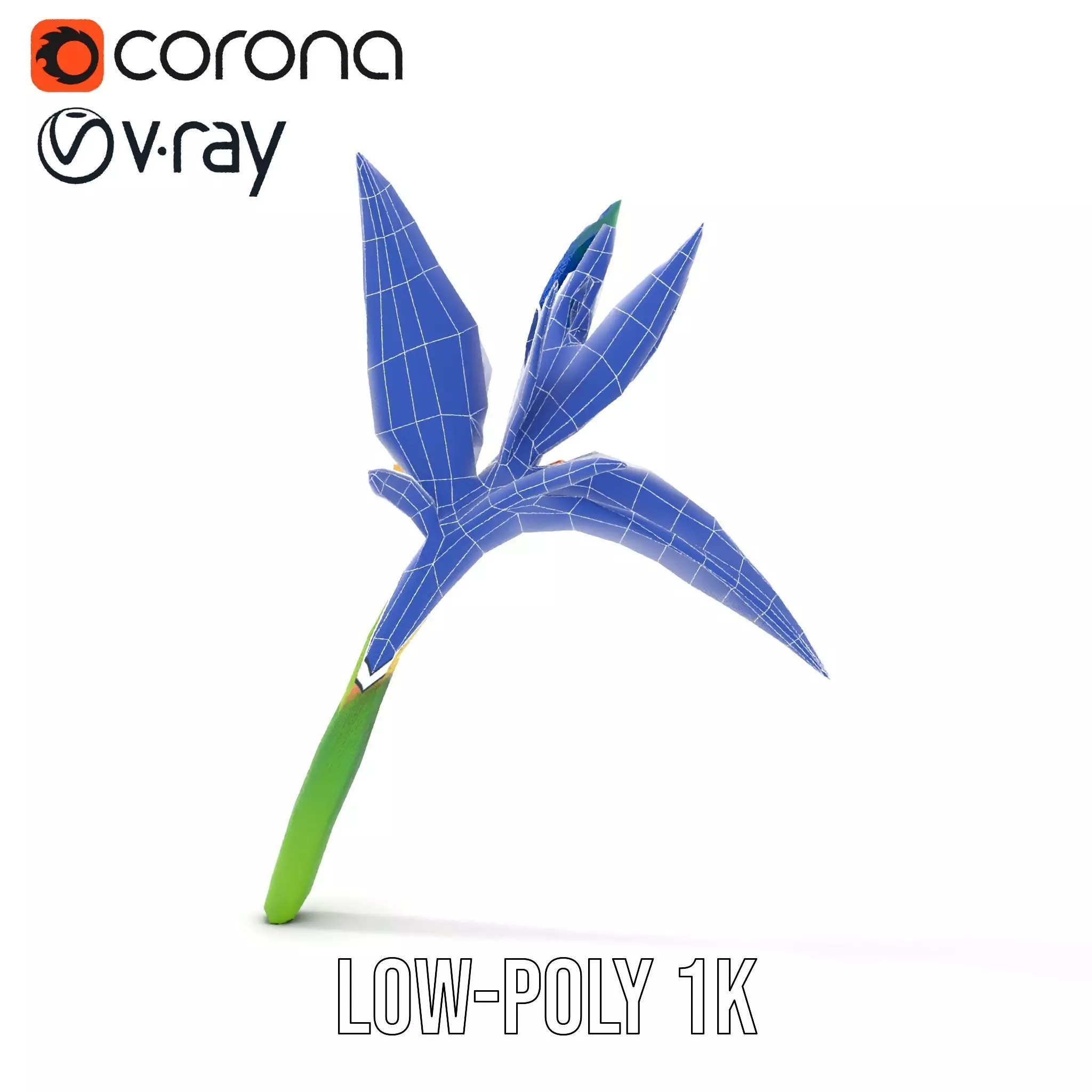 Vibrant Heliconia model pack Low-poly 3D model_28