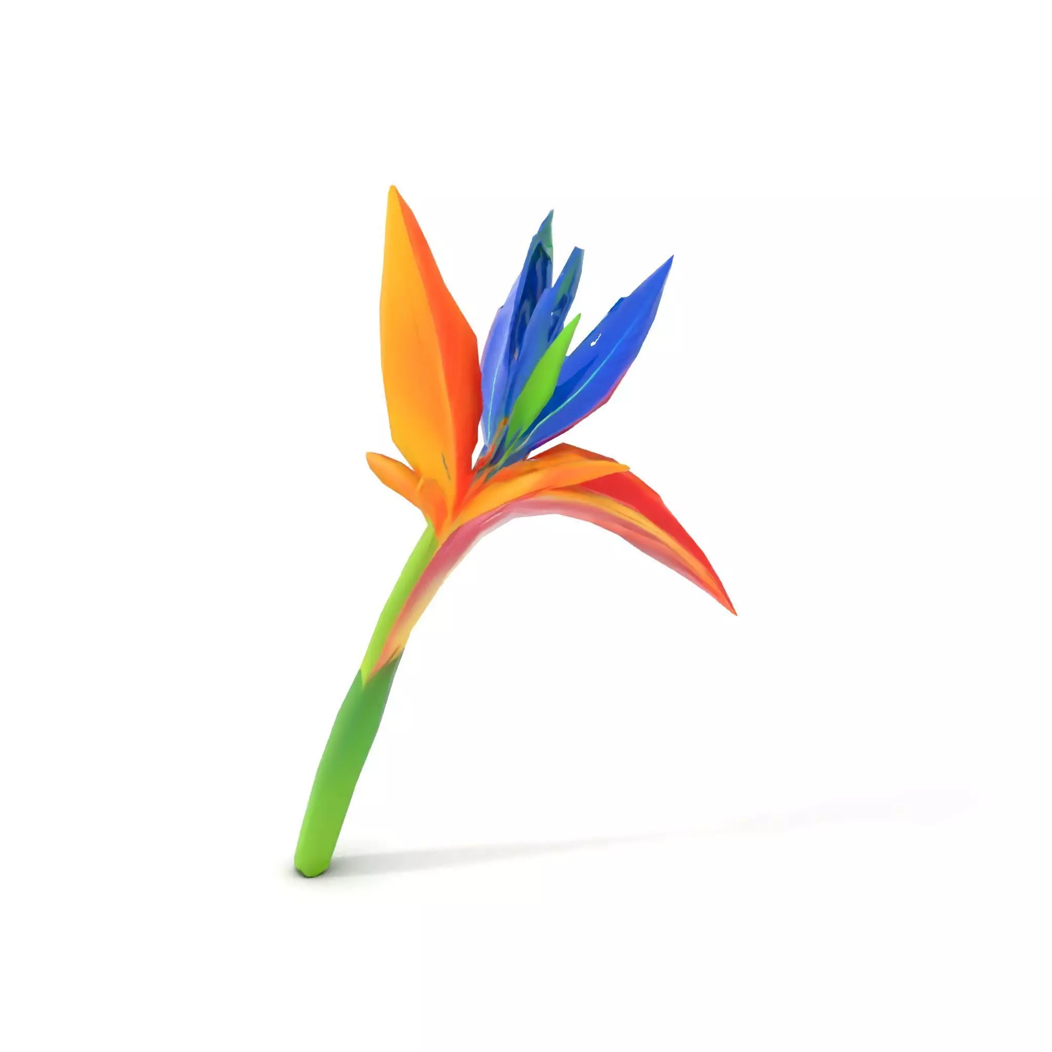 Vibrant Heliconia model pack Low-poly 3D model_12
