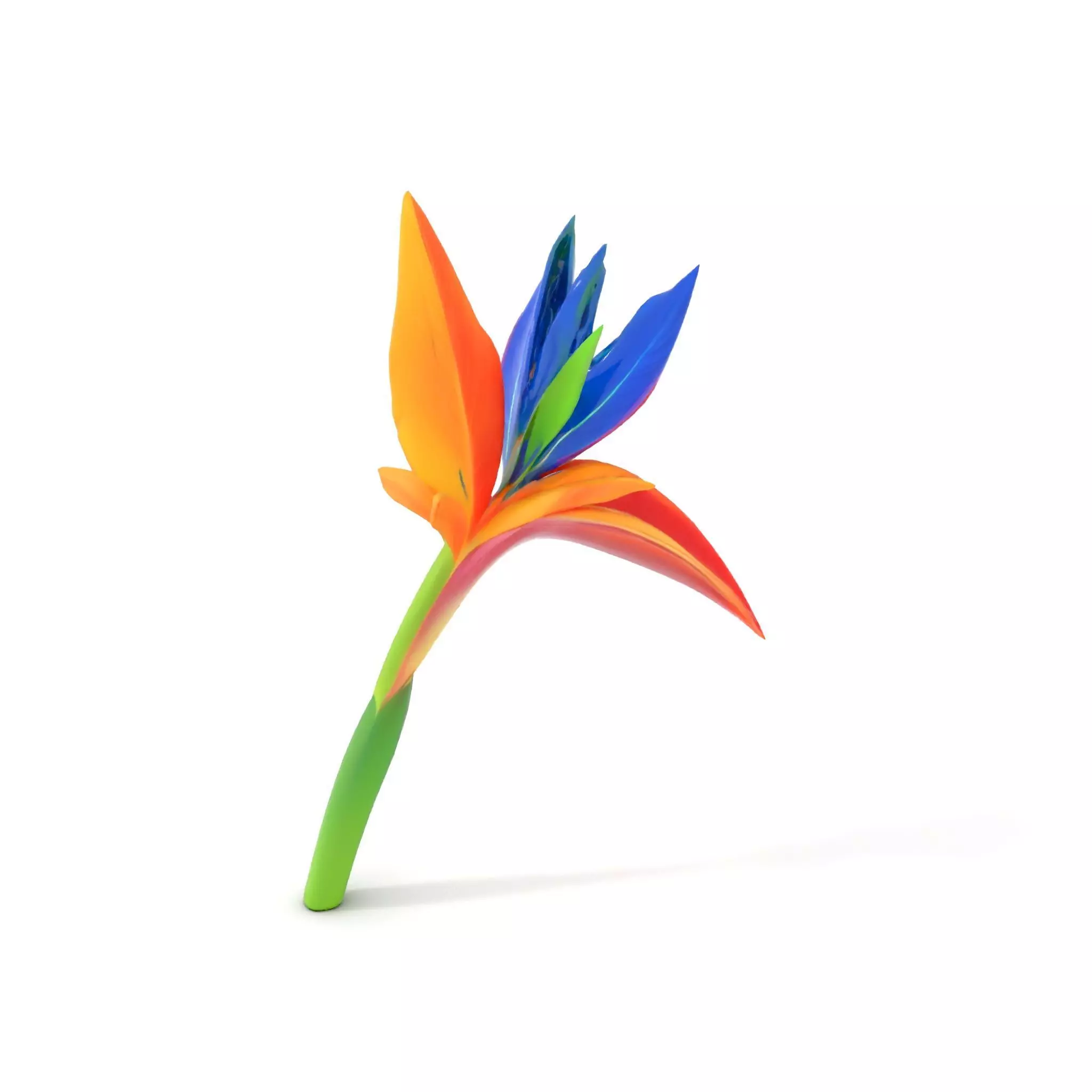 Vibrant Heliconia model pack Low-poly 3D model_16