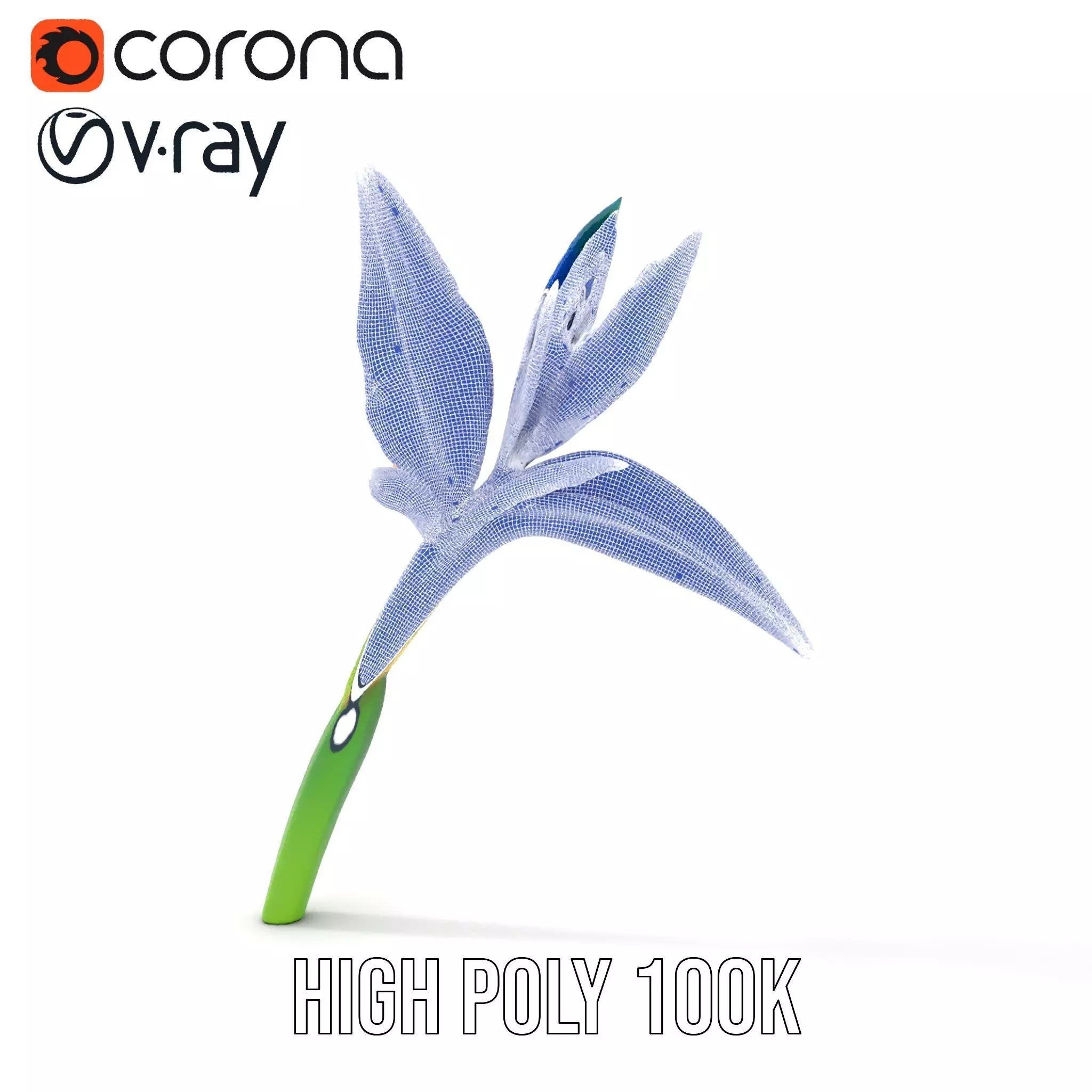 Vibrant Heliconia model pack Low-poly 3D model_32