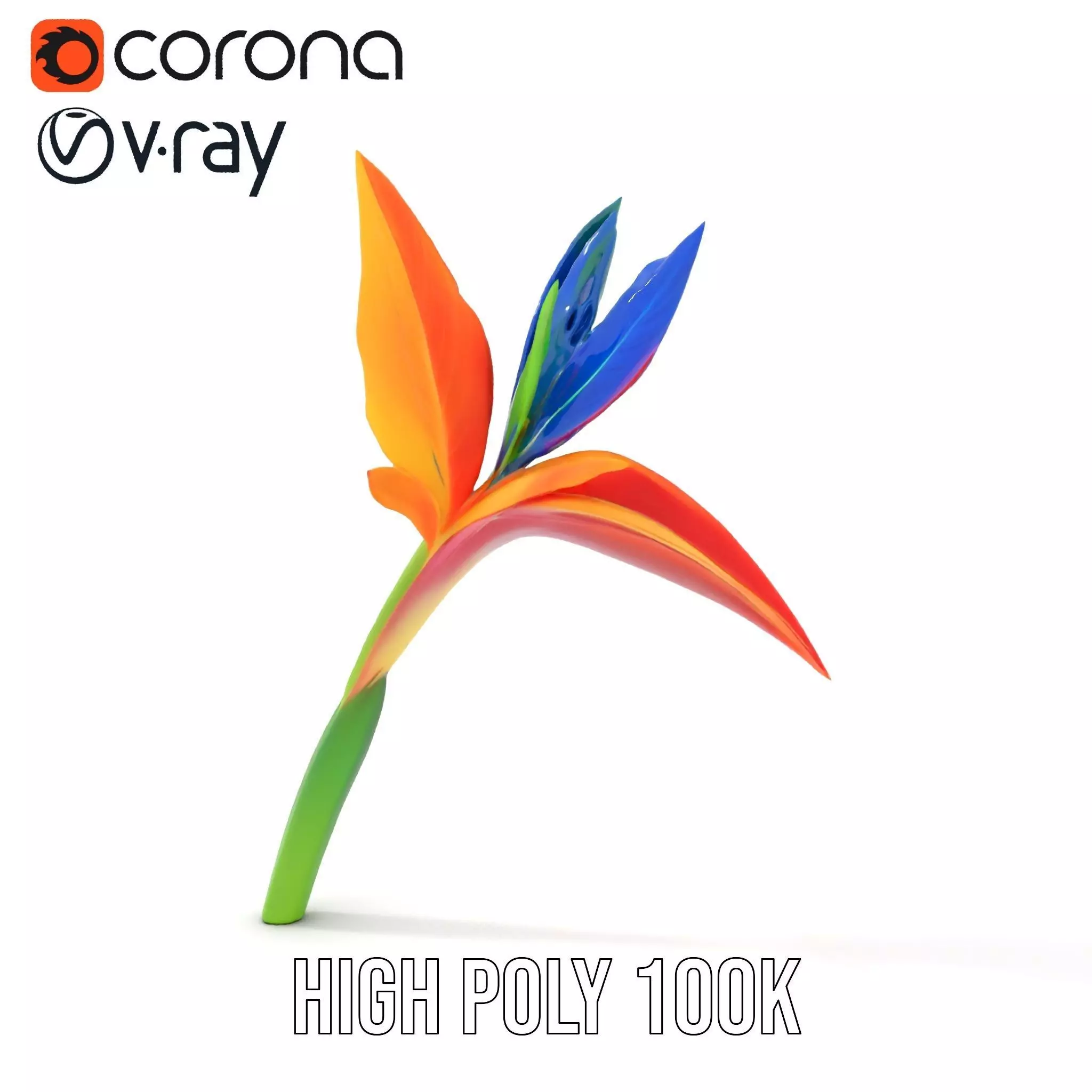Vibrant Heliconia model pack Low-poly 3D model_15