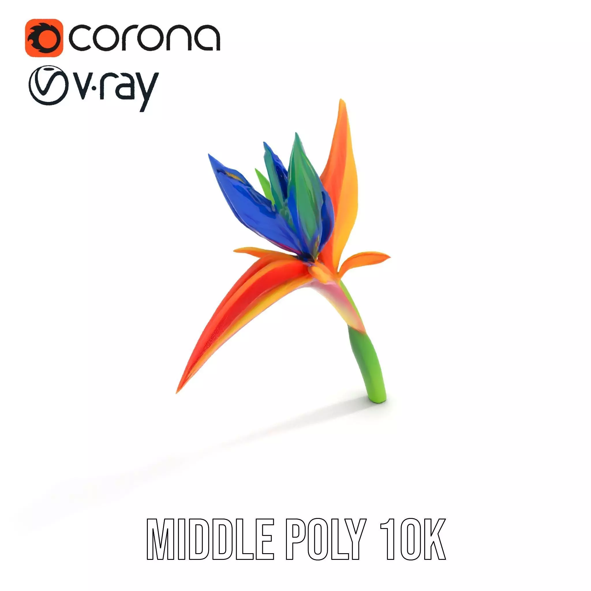 Vibrant Heliconia model pack Low-poly 3D model_24