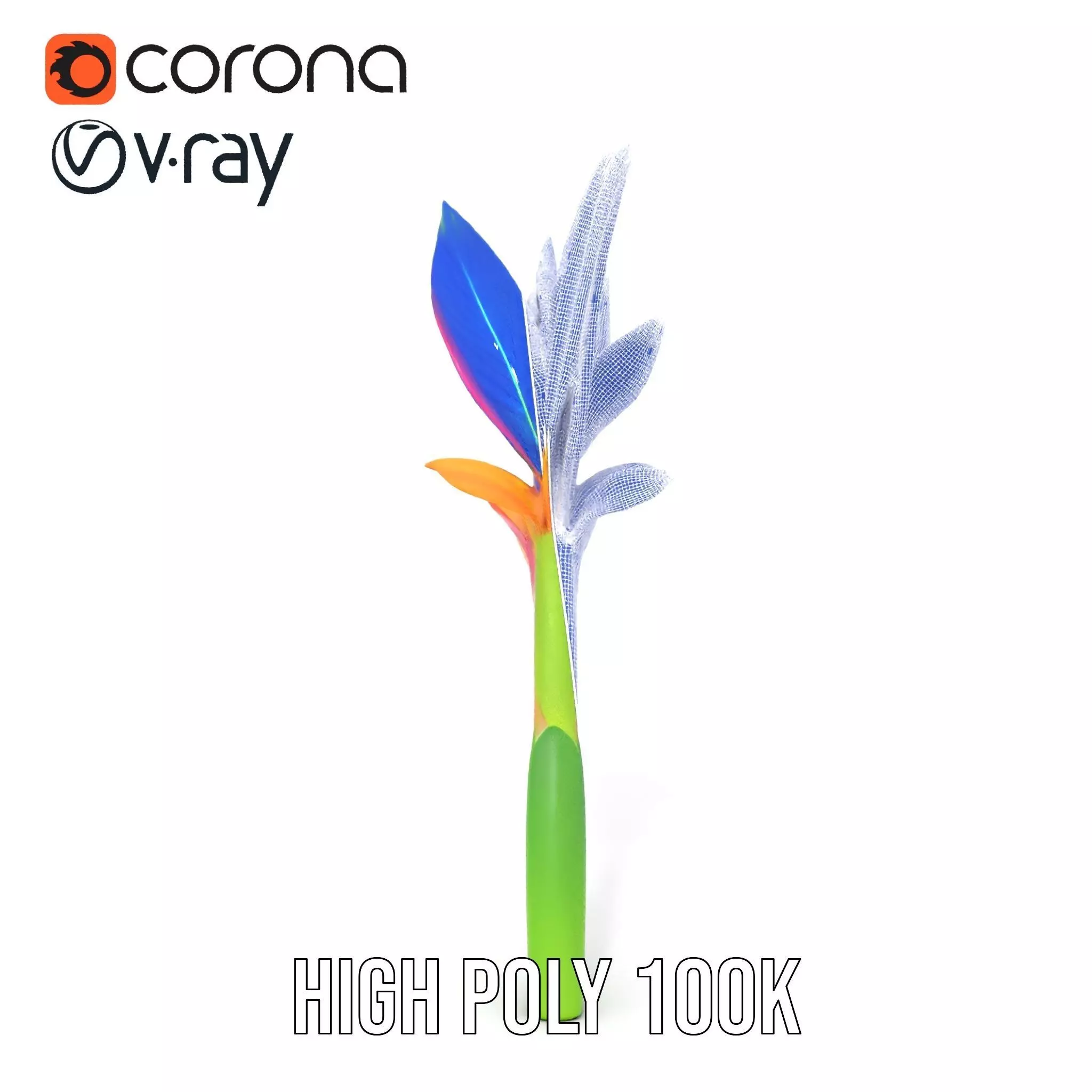 Vibrant Heliconia model pack Low-poly 3D model_31