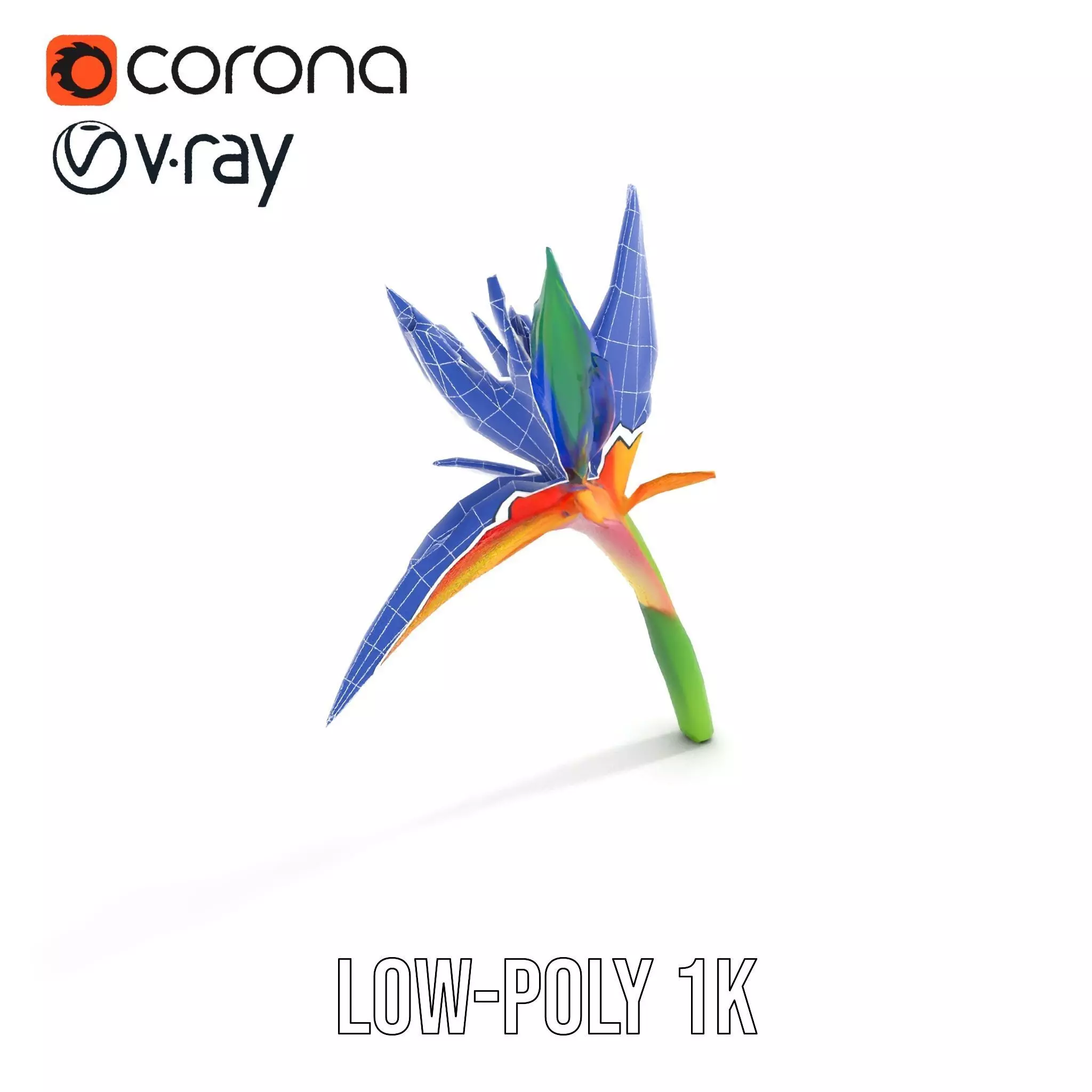 Vibrant Heliconia model pack Low-poly 3D model_7