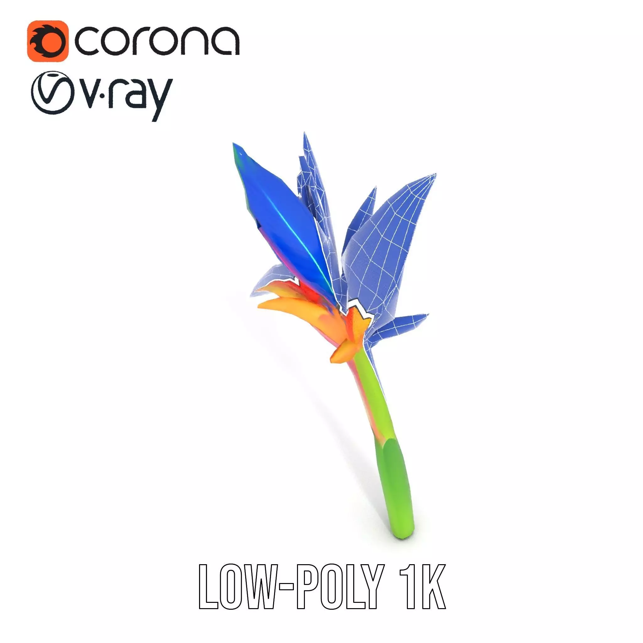 Vibrant Heliconia model pack Low-poly 3D model_17