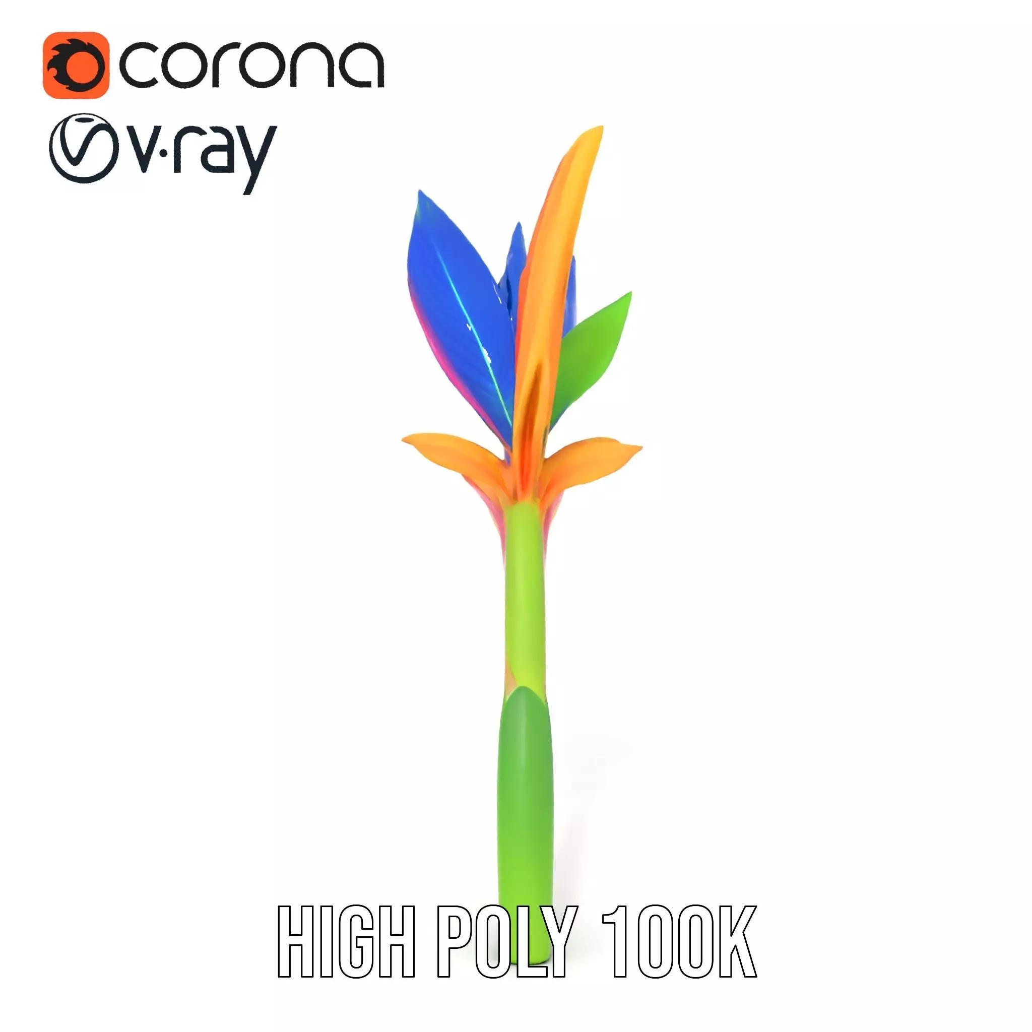 Vibrant Heliconia model pack Low-poly 3D model_21