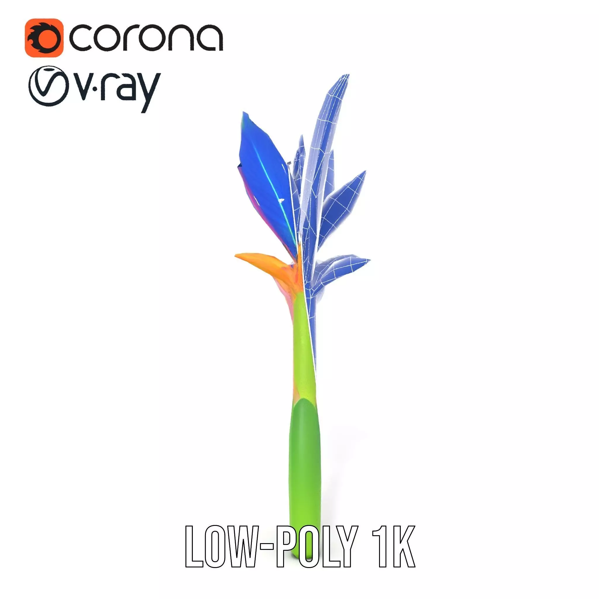 Vibrant Heliconia model pack Low-poly 3D model_30