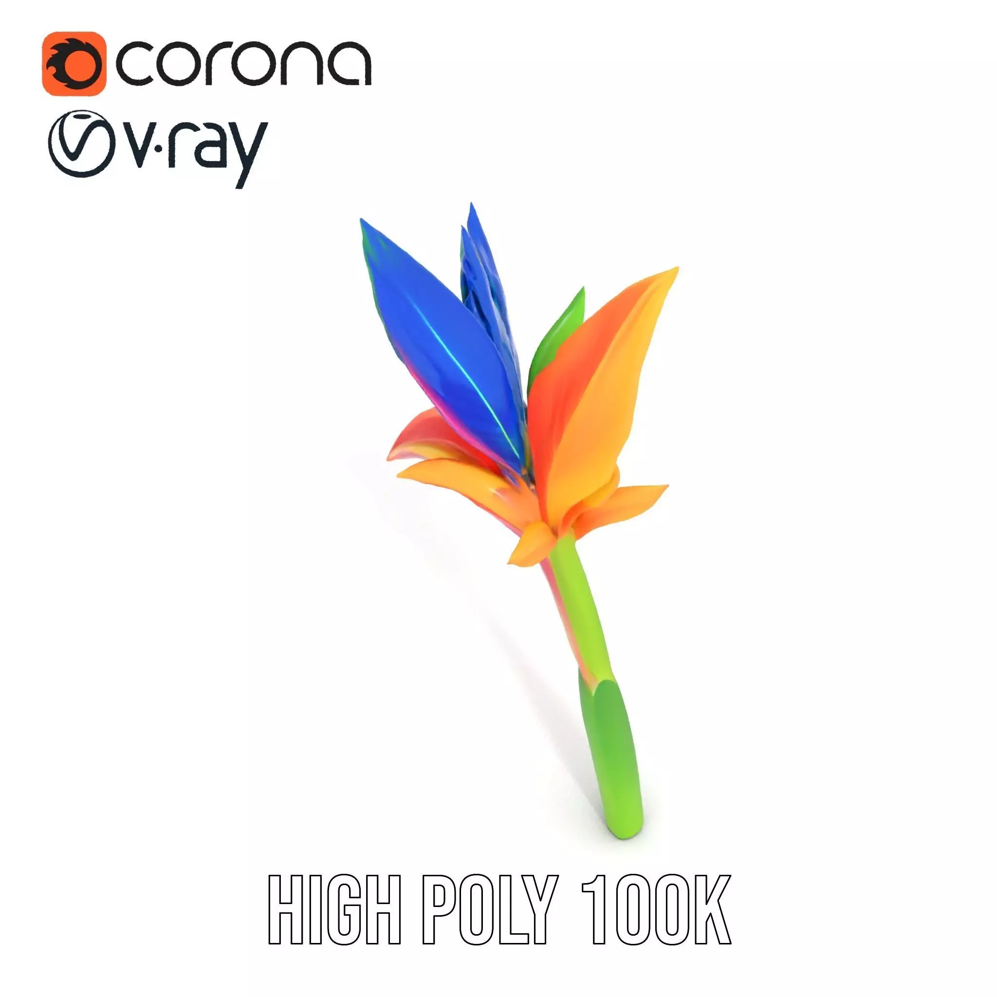Vibrant Heliconia model pack Low-poly 3D model_18