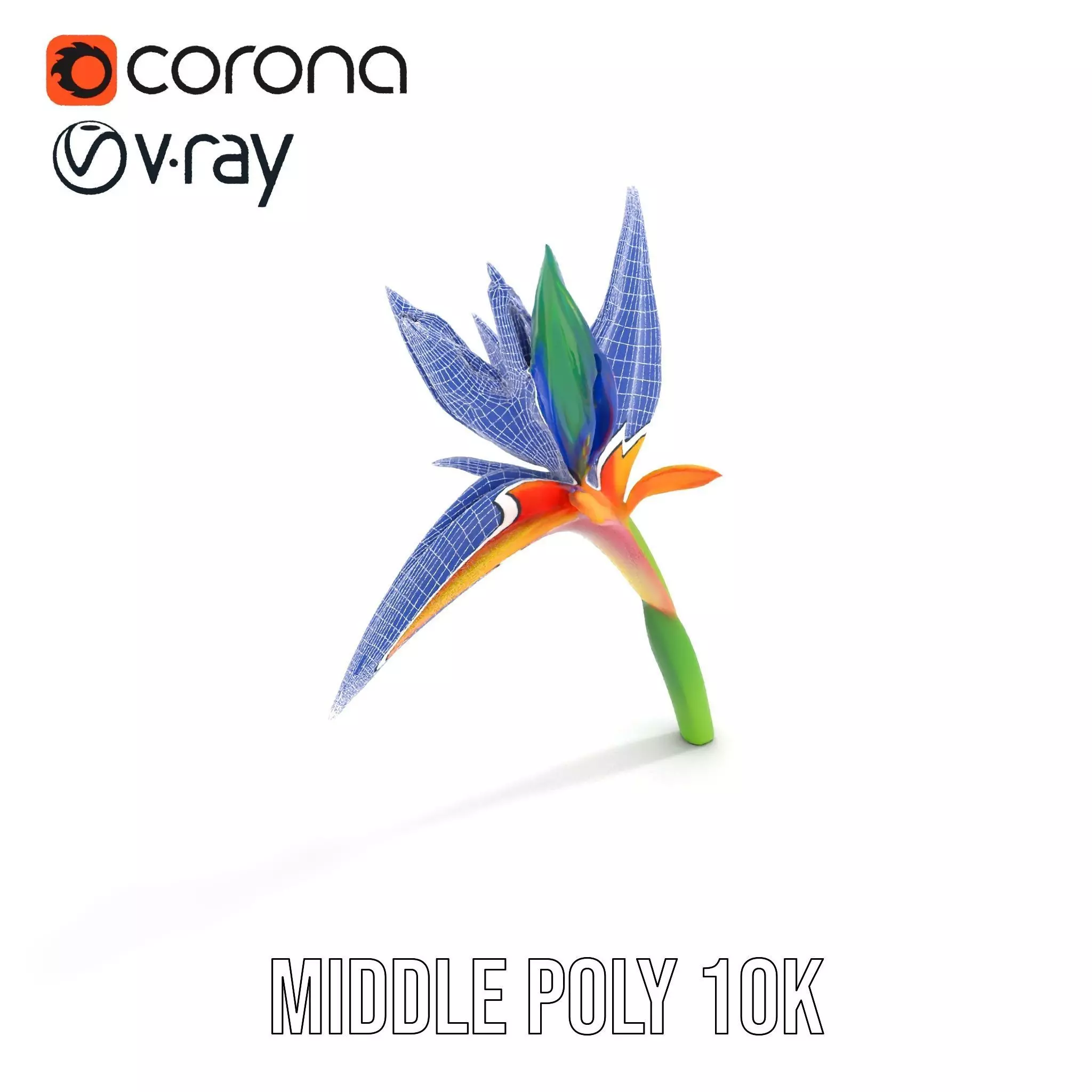 Vibrant Heliconia model pack Low-poly 3D model_11