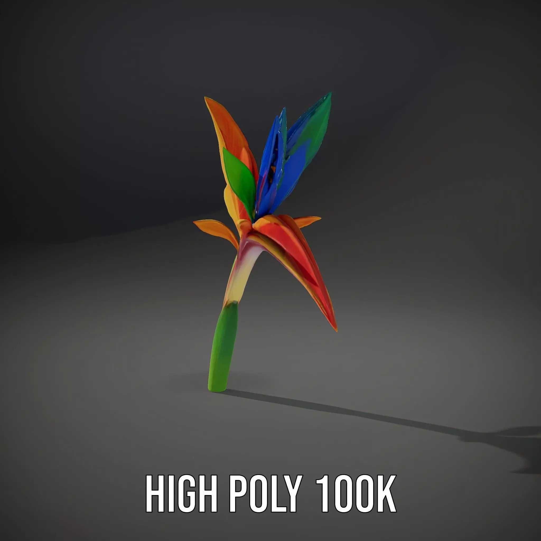 Vibrant Heliconia model pack Low-poly 3D model_8