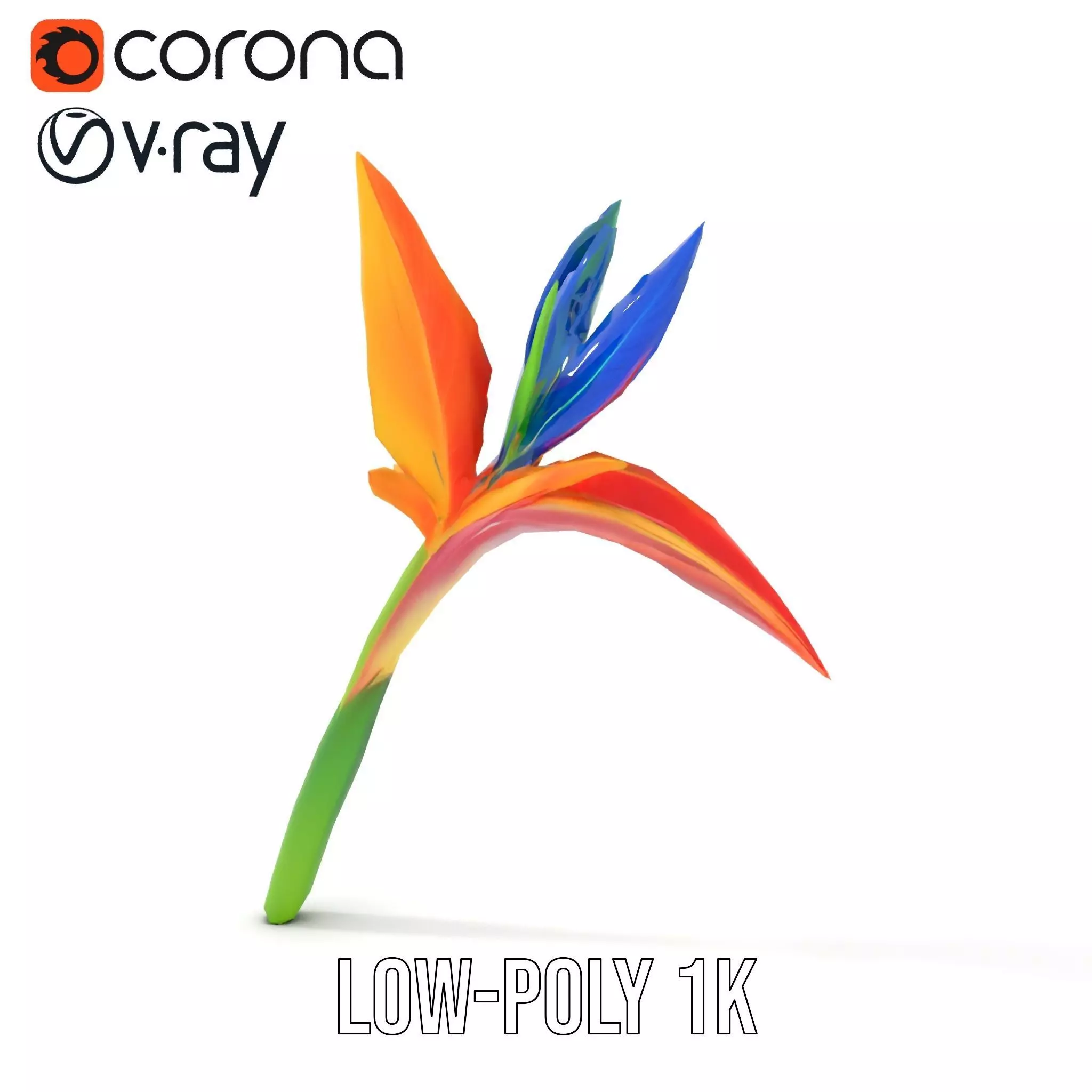 Vibrant Heliconia model pack Low-poly 3D model_9