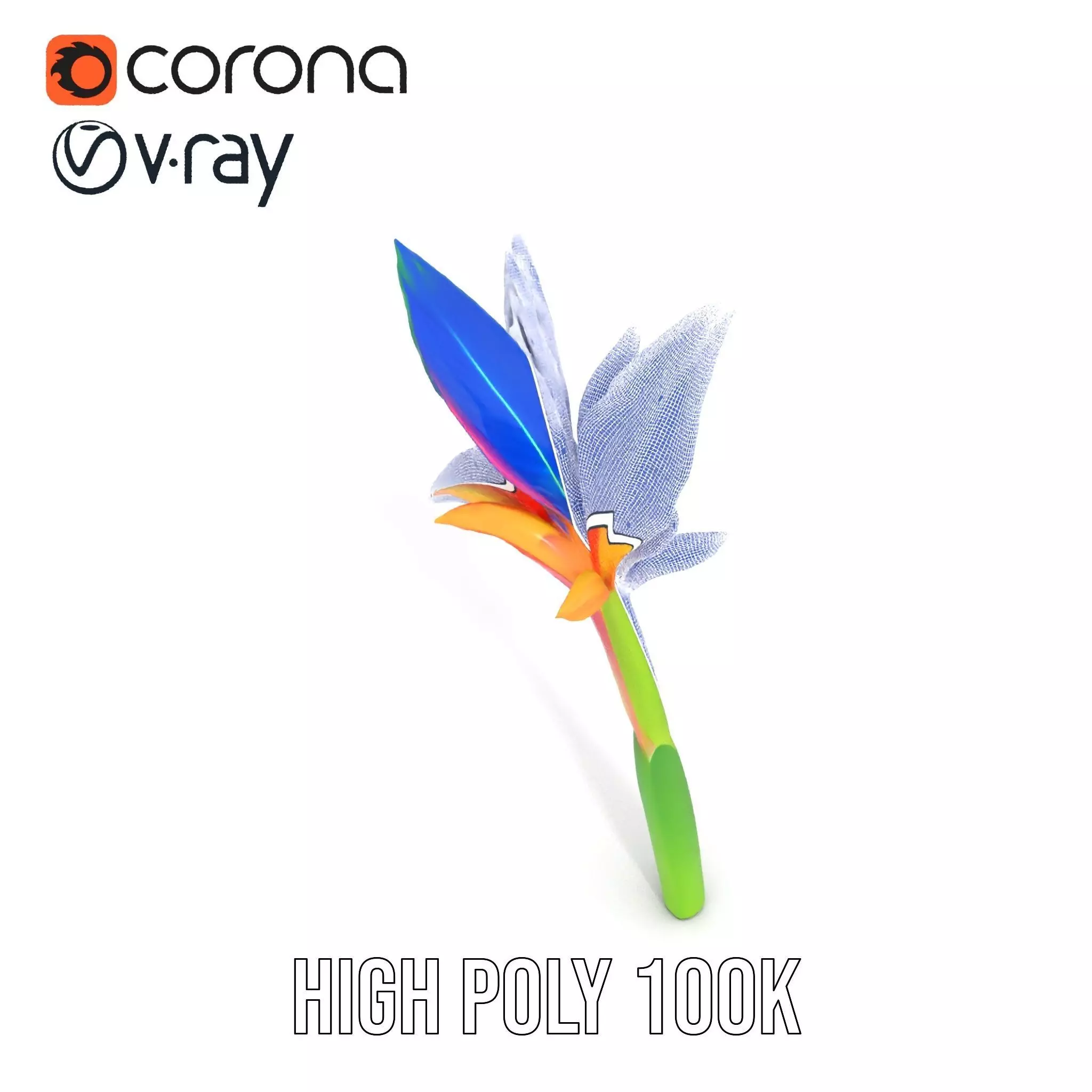 Vibrant Heliconia model pack Low-poly 3D model_33