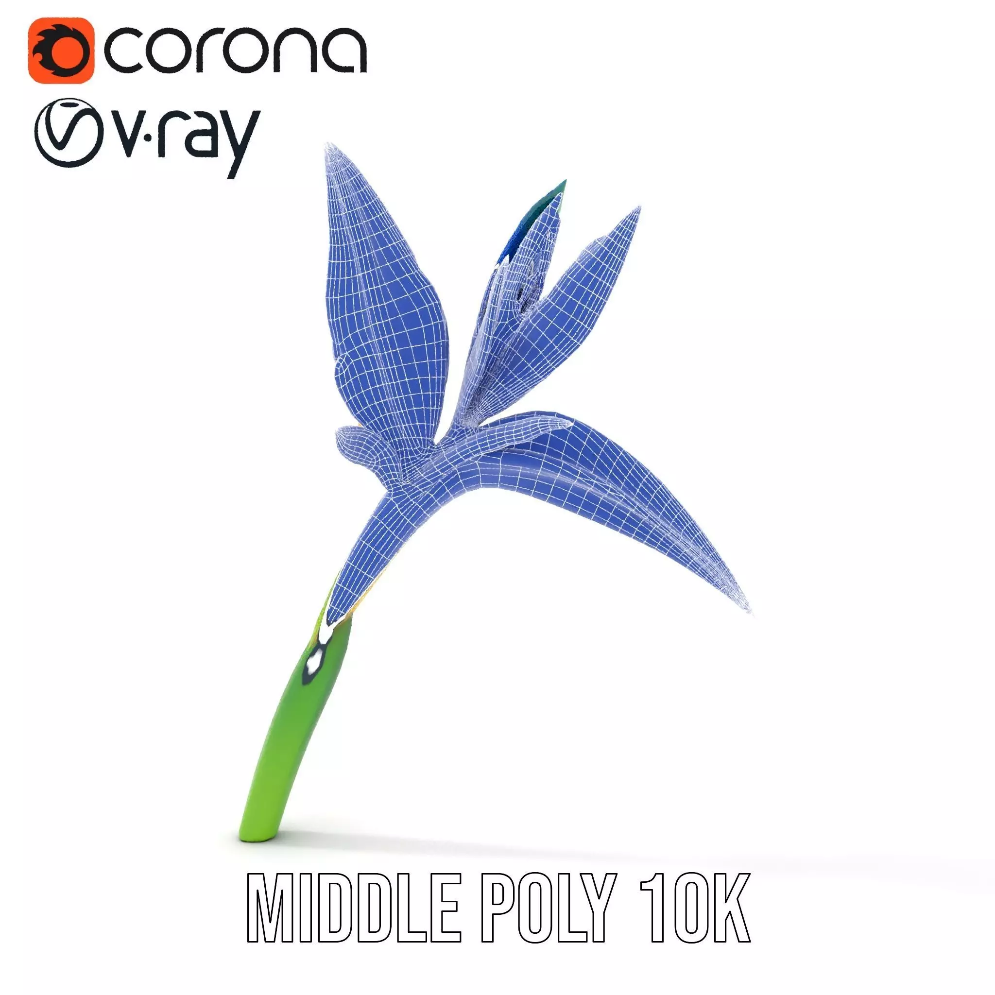 Vibrant Heliconia model pack Low-poly 3D model_27