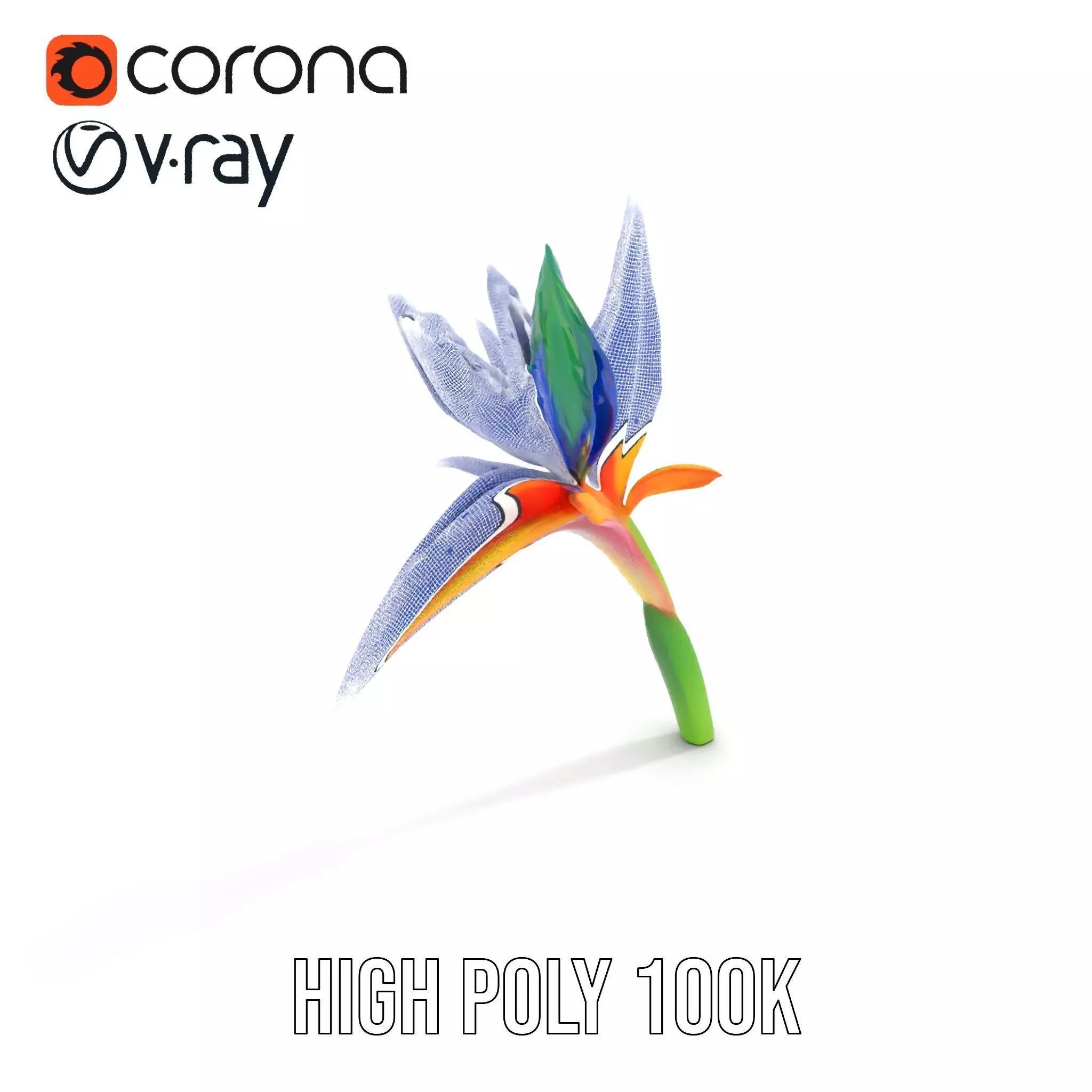 Vibrant Heliconia model pack Low-poly 3D model_34