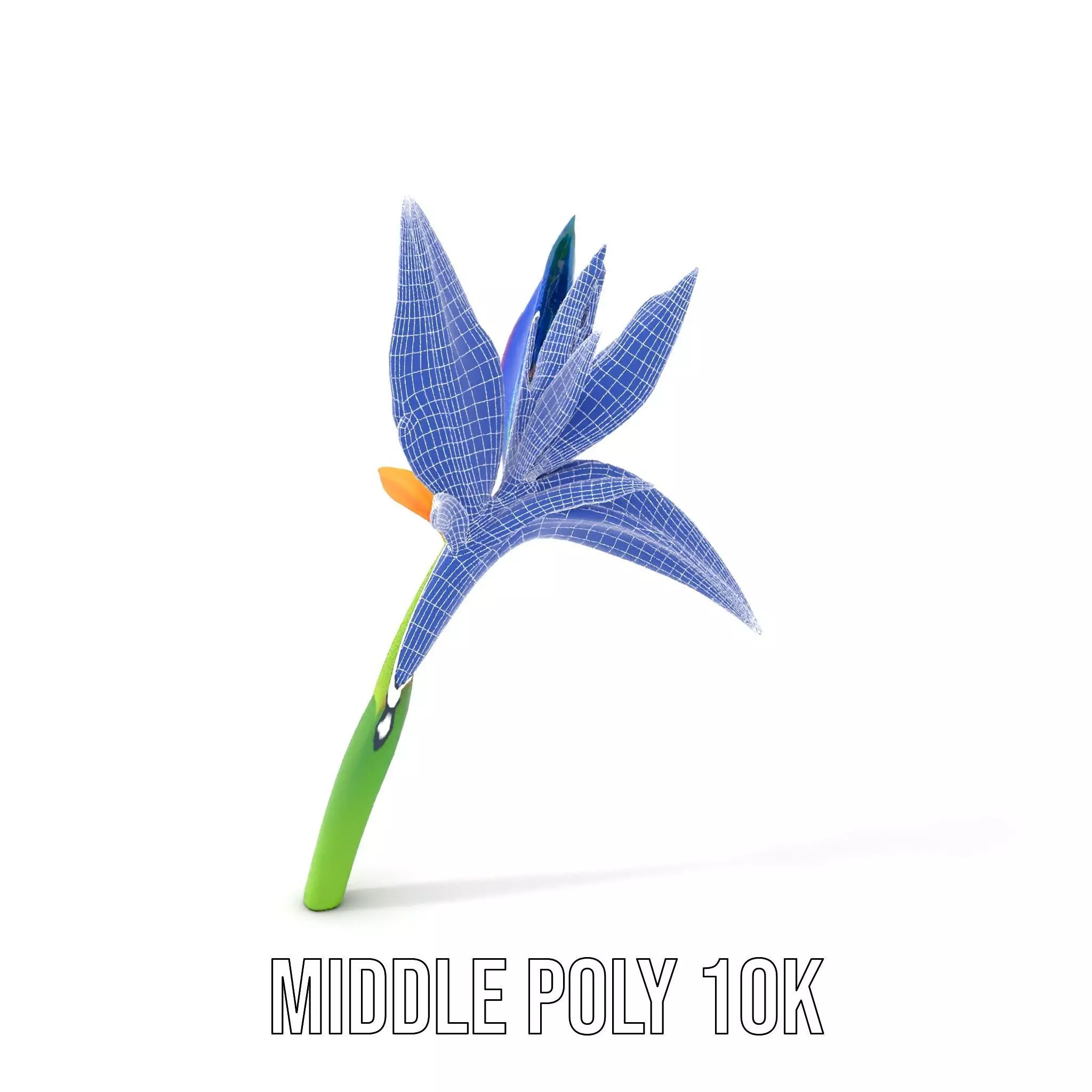 Vibrant Heliconia model pack Low-poly 3D model_22