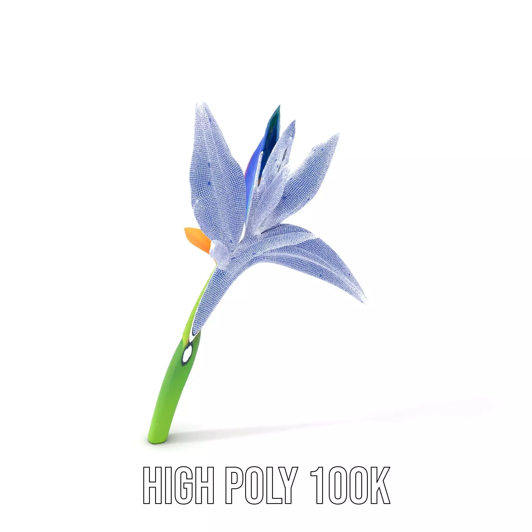 Vibrant Heliconia model pack Low-poly 3D model_4