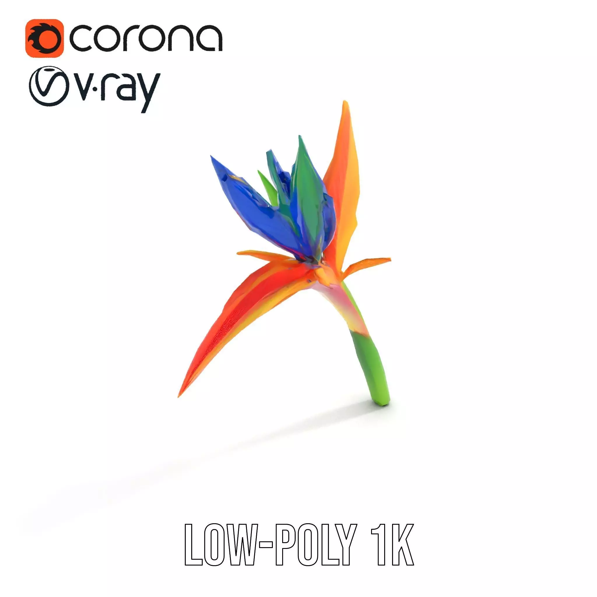 Vibrant Heliconia model pack Low-poly 3D model_20