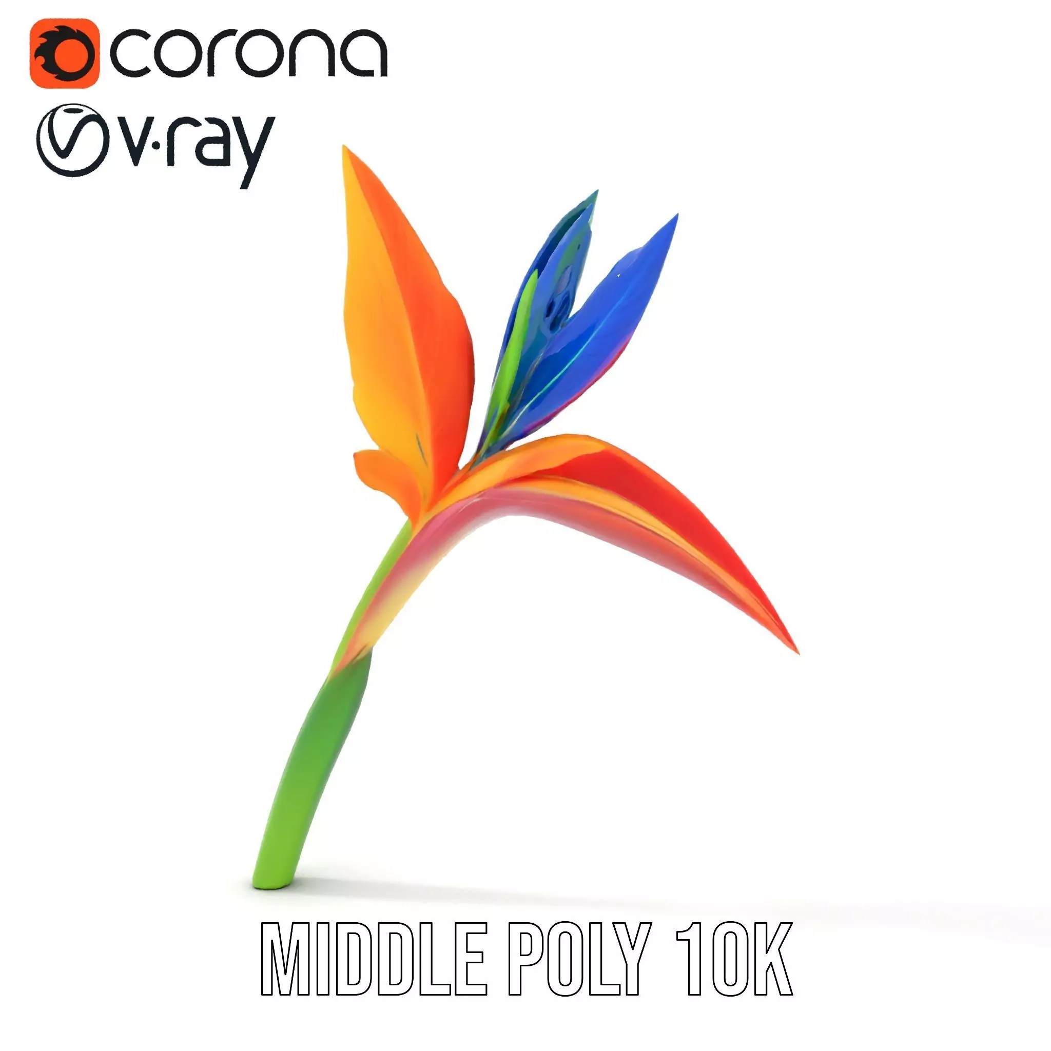 Vibrant Heliconia model pack Low-poly 3D model_13