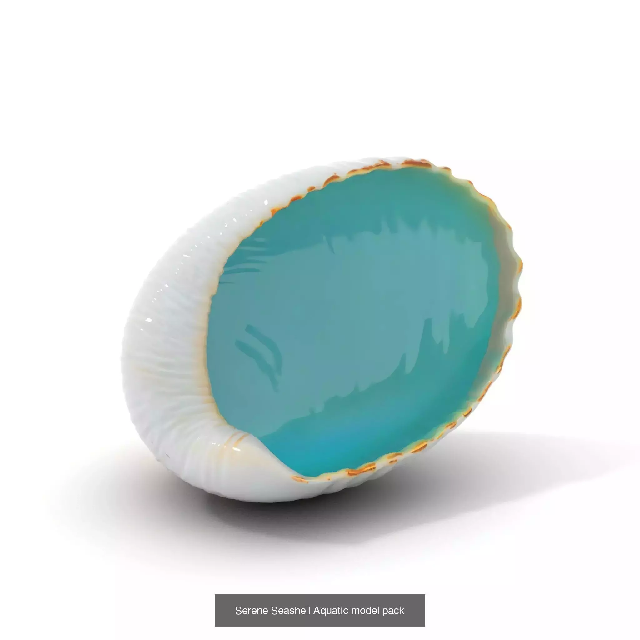 Diverse 3D Model Collection _25